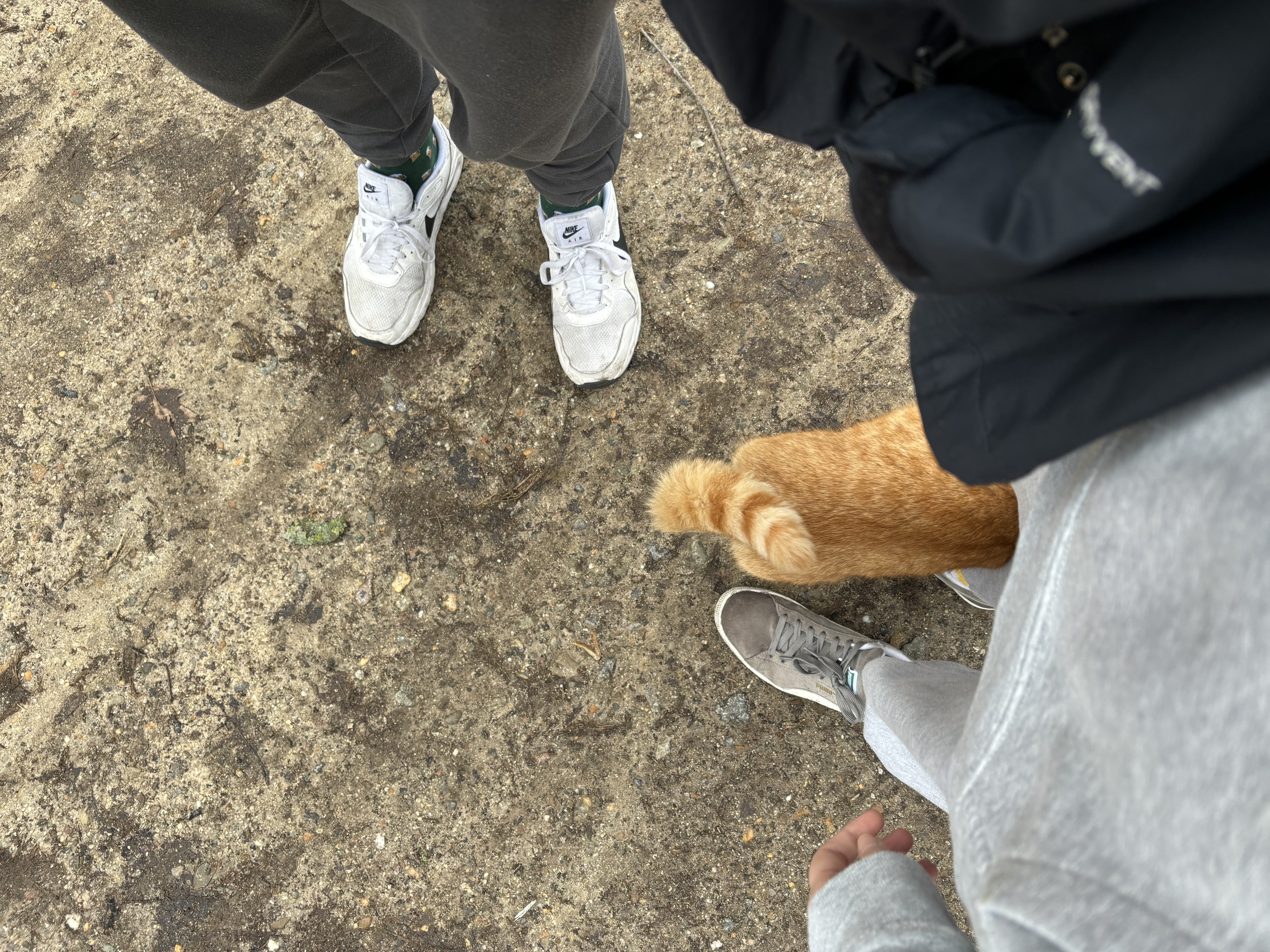 image-8
