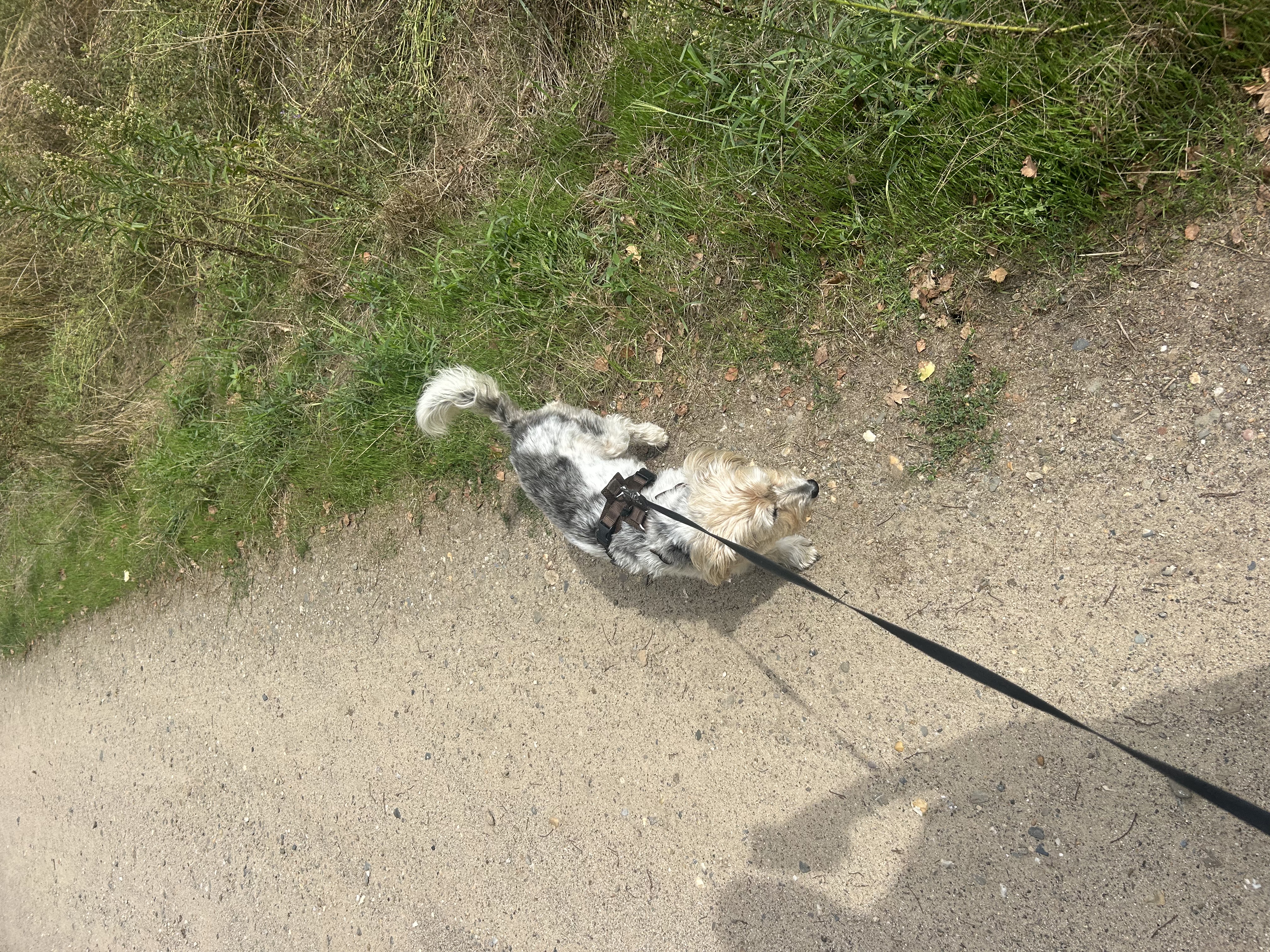 image-5