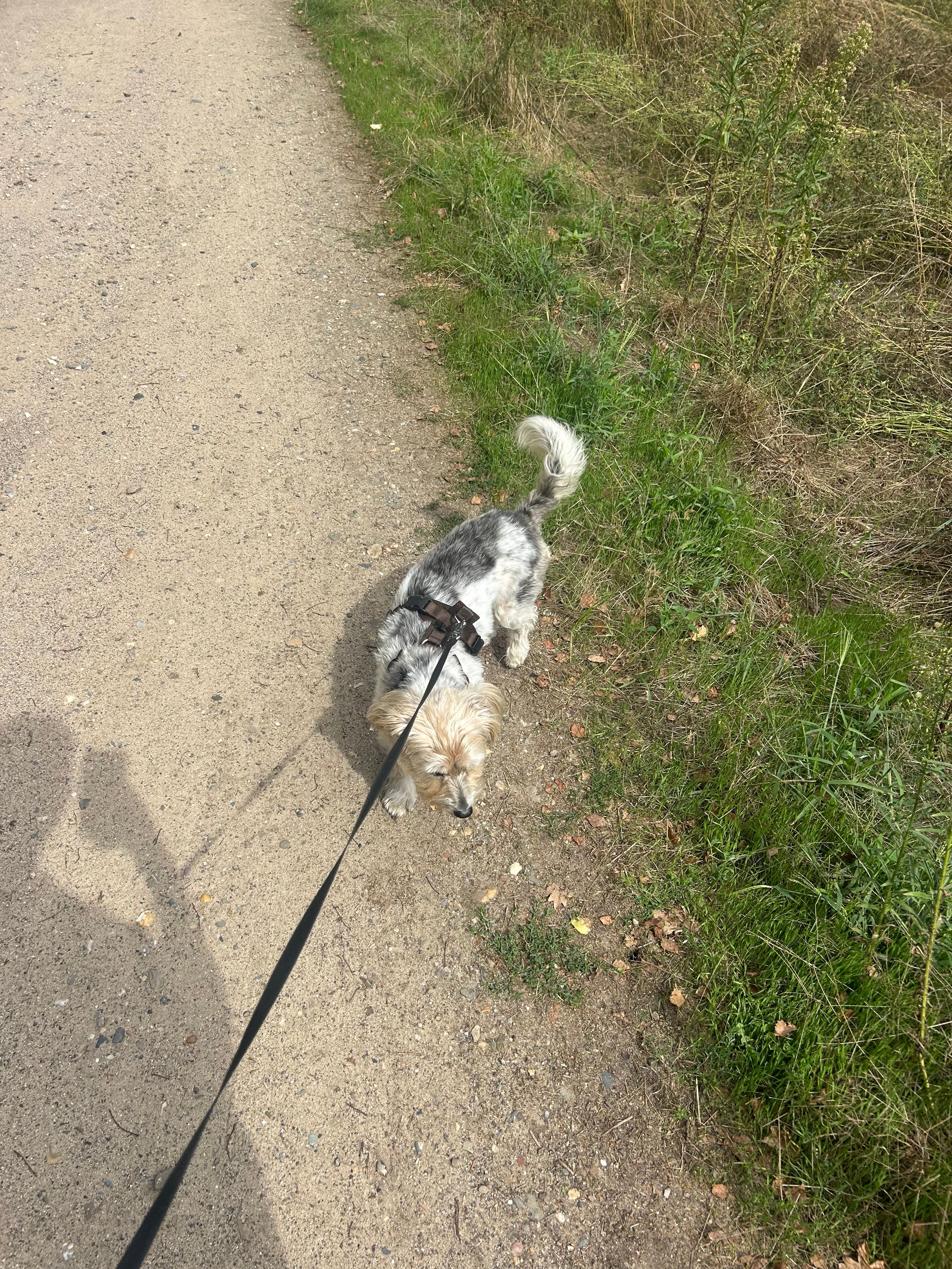 image-5