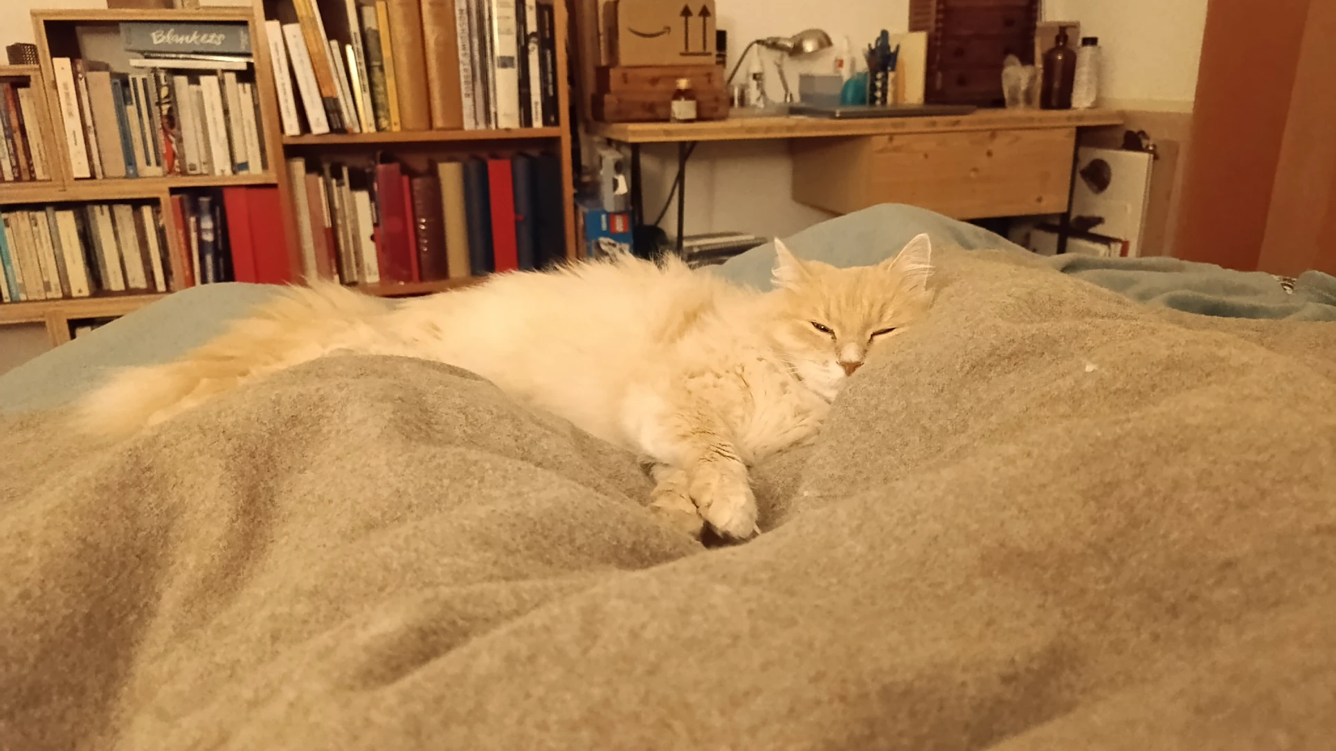 image-7