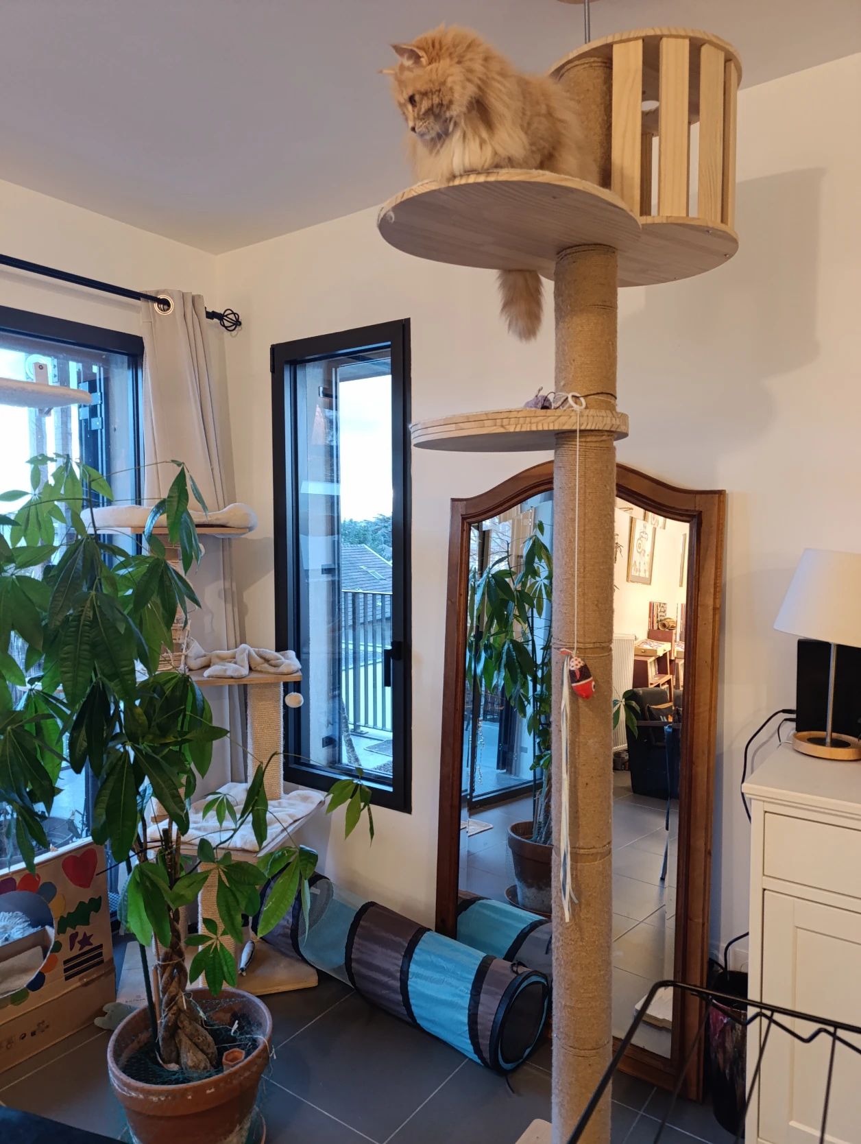 image-11