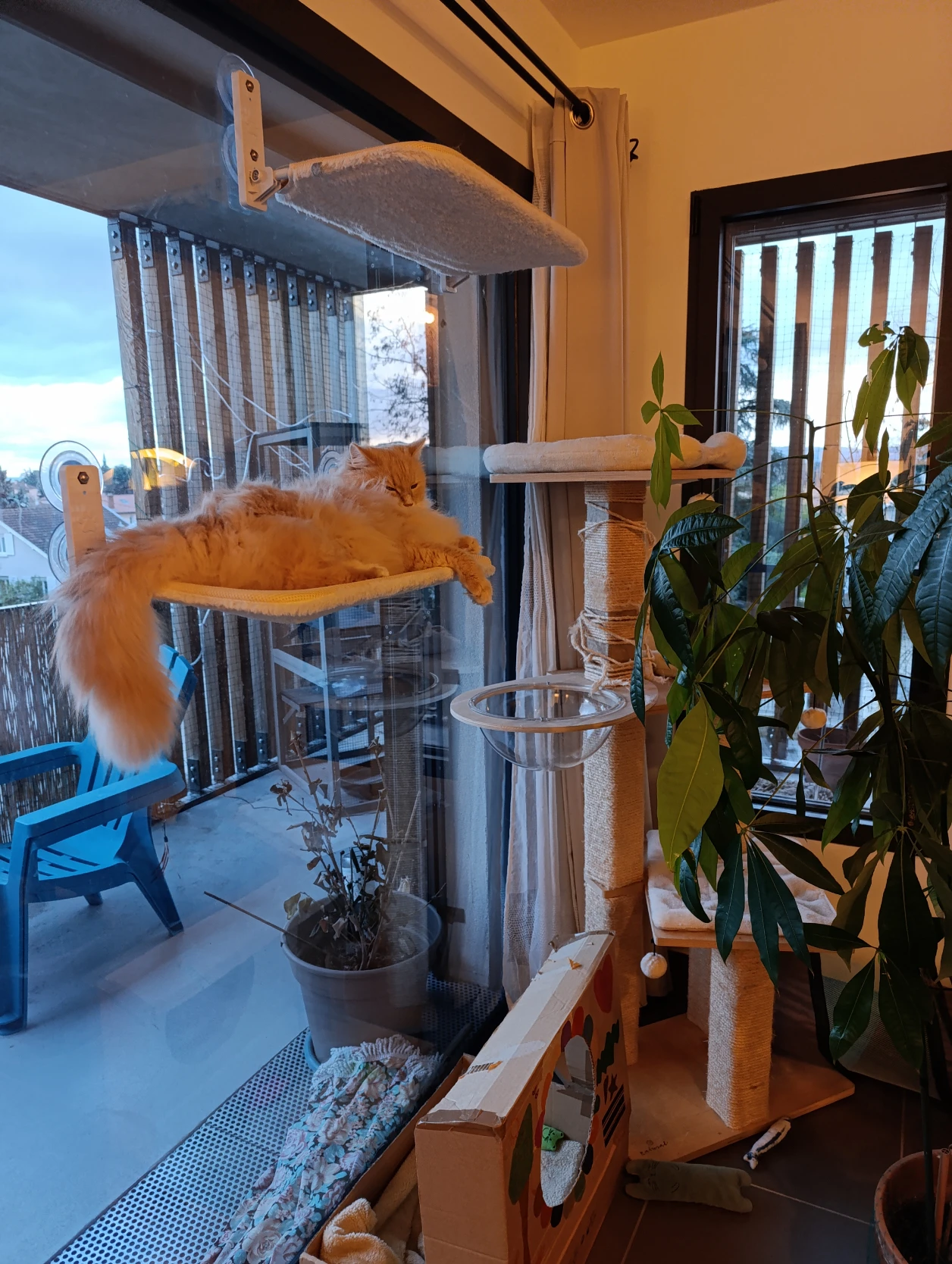 image-12