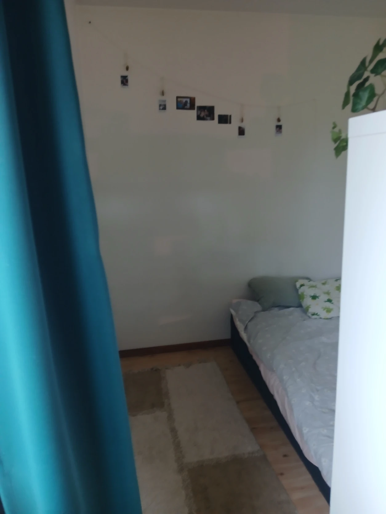 image-14