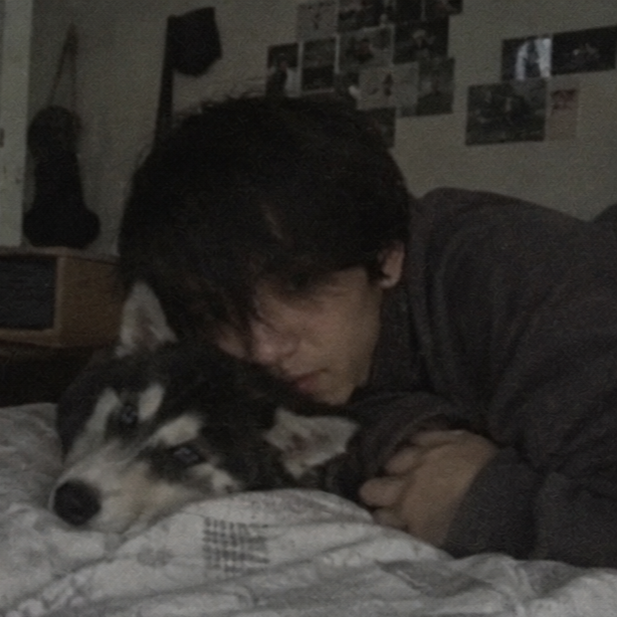 image-6