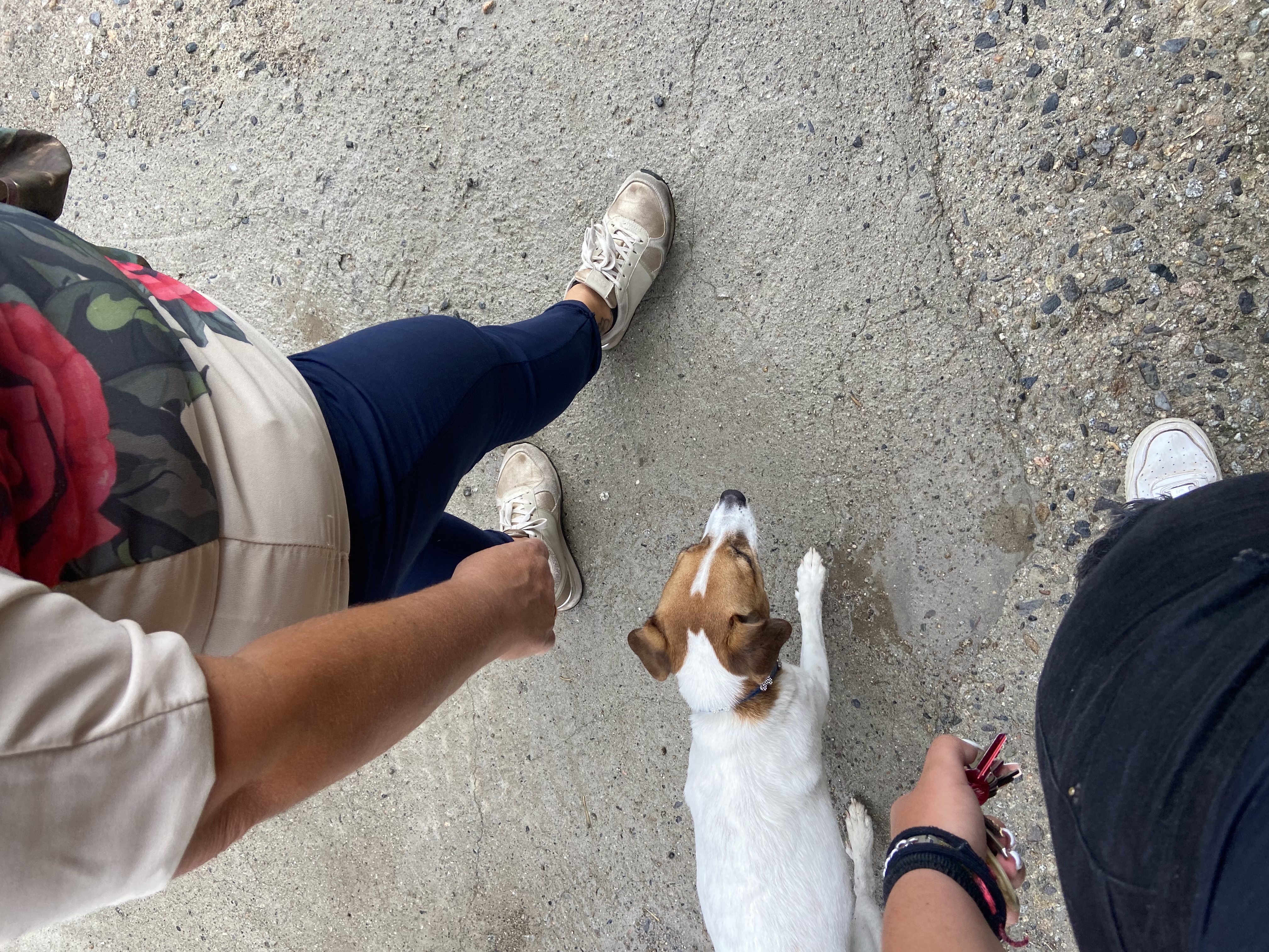 image-14