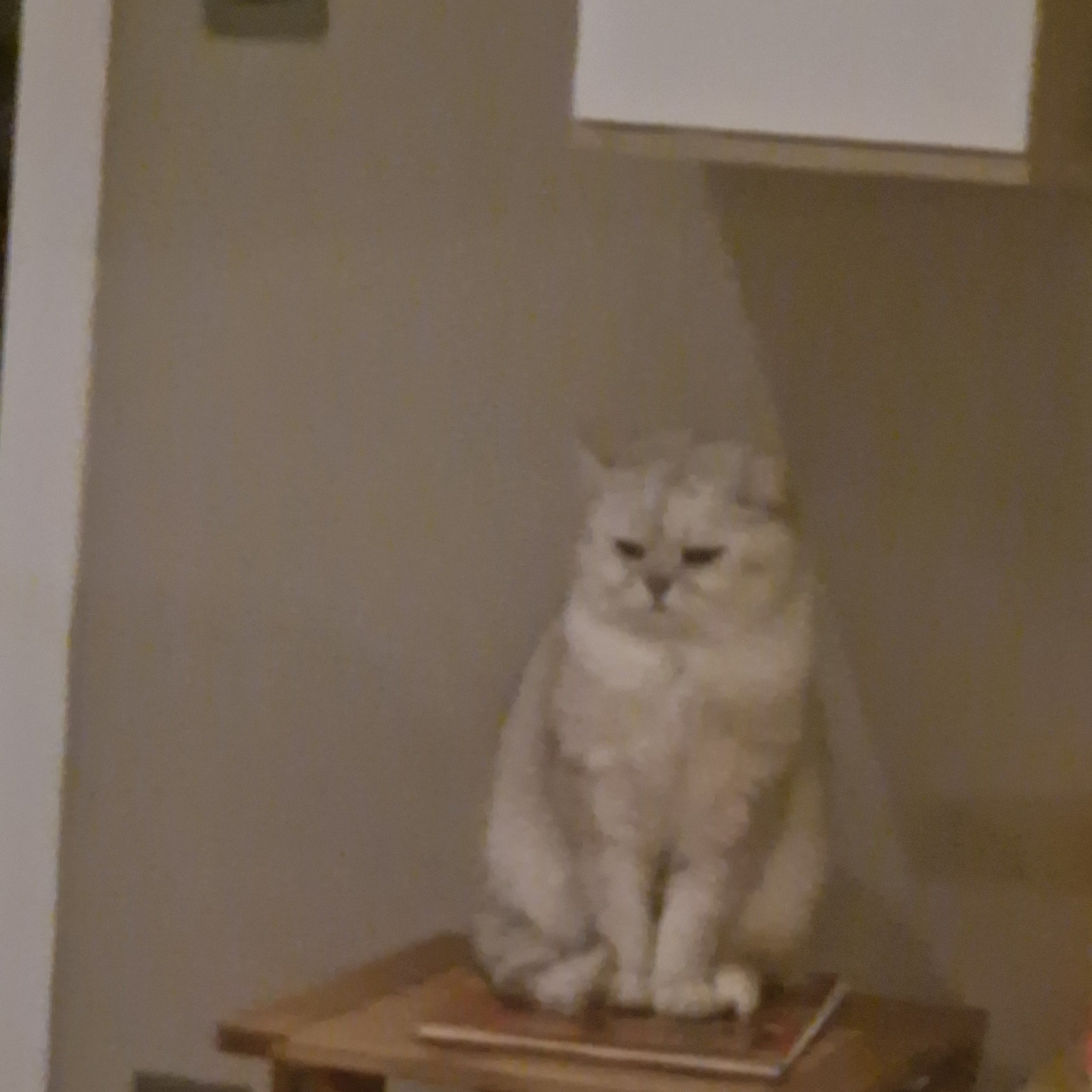 Nataliya