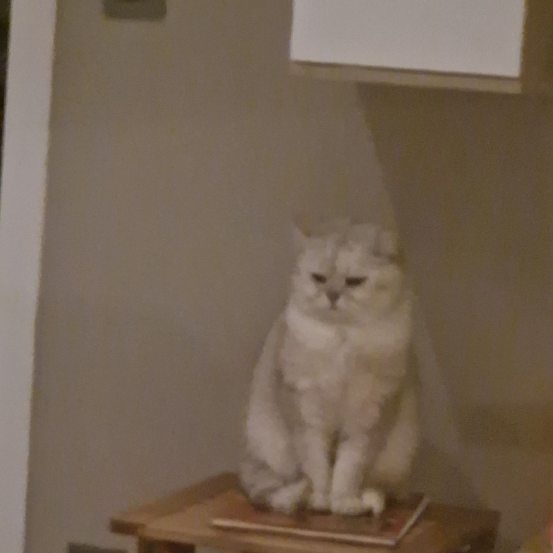 Nataliya