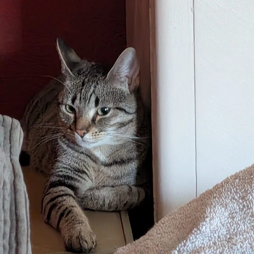 Coco