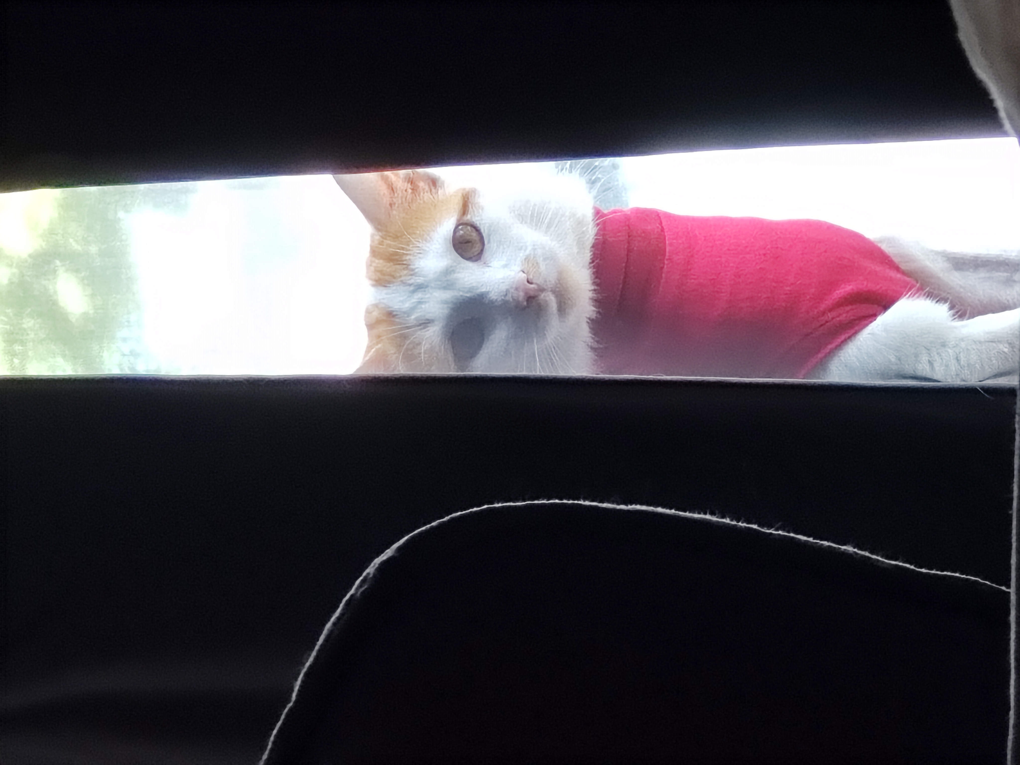 image-8