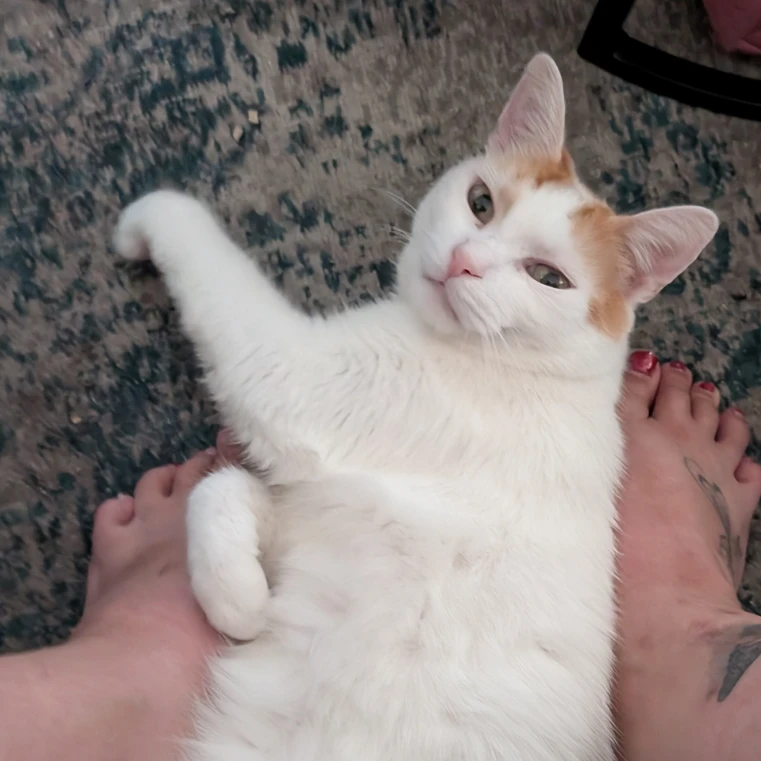 Dikkie