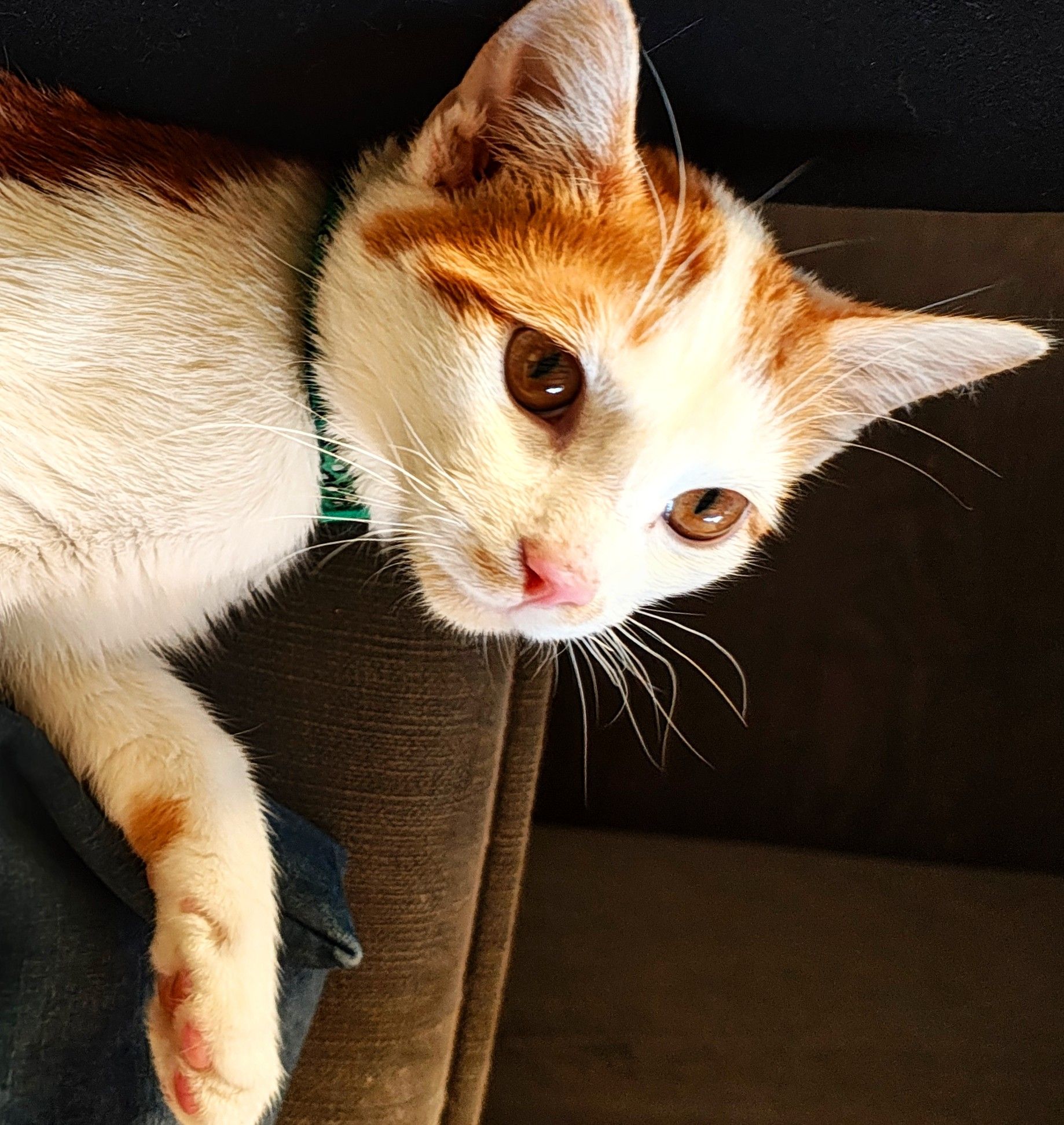 image-12