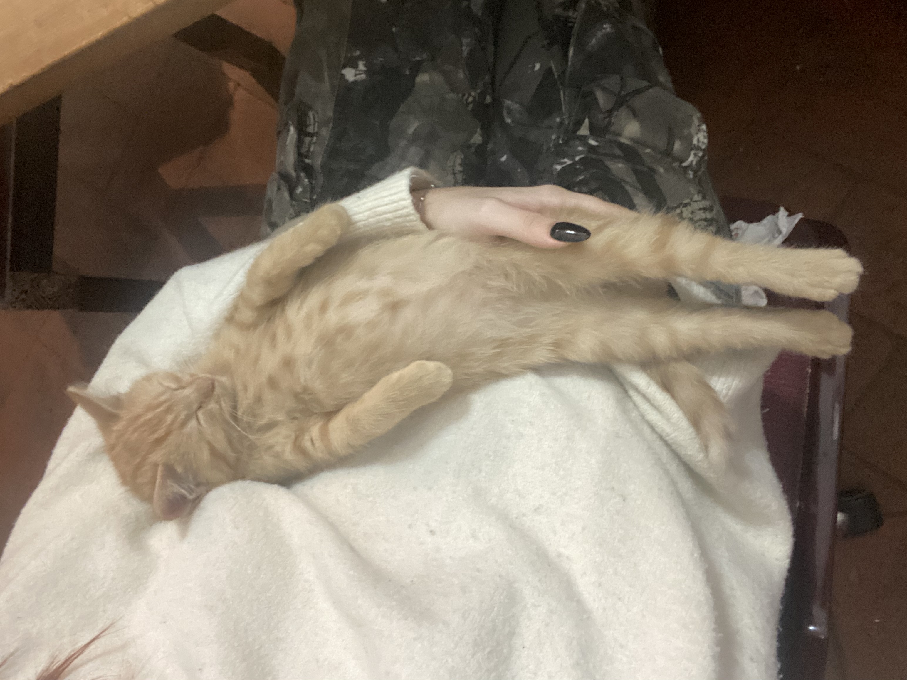 image-6