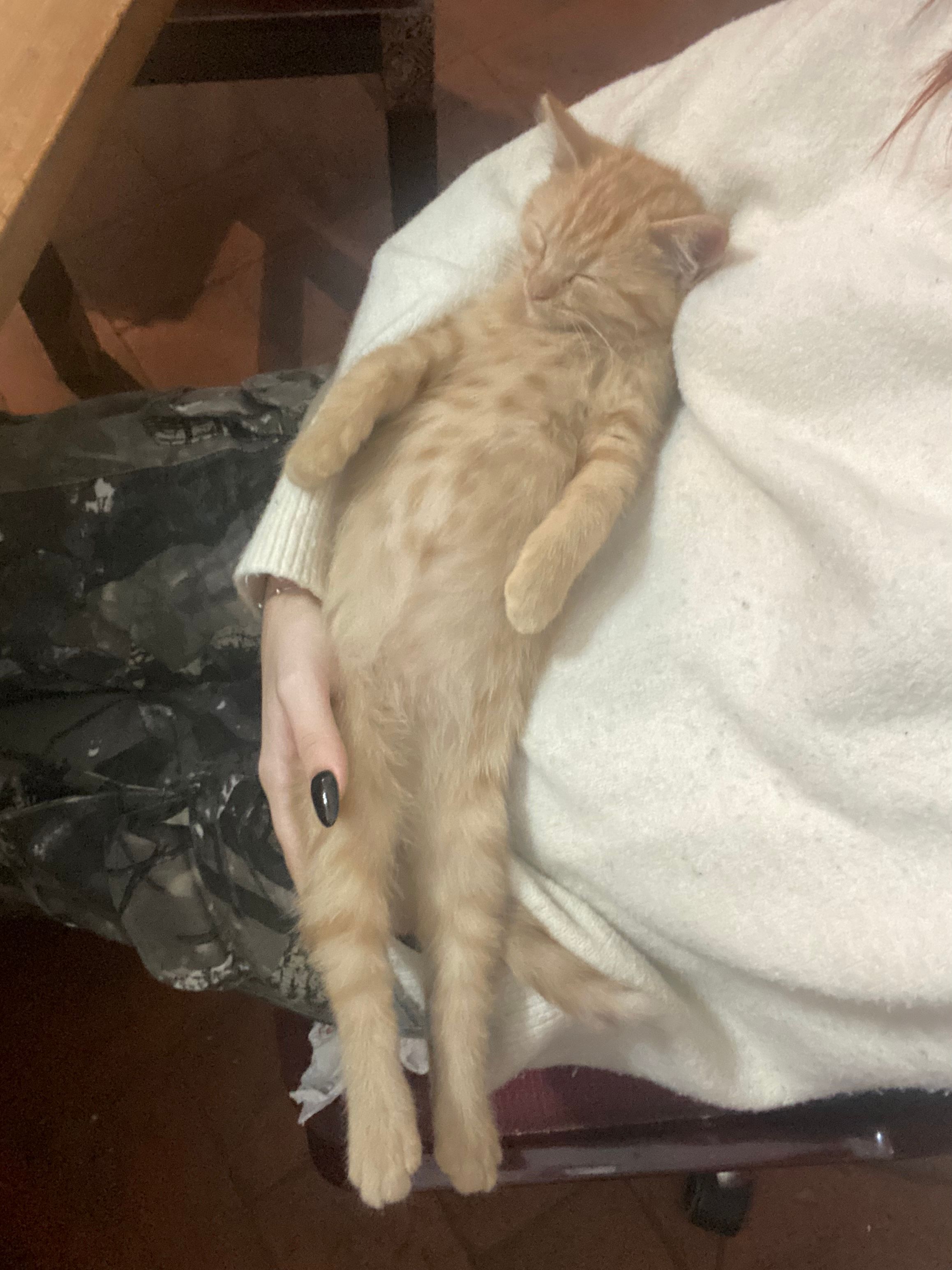 image-6