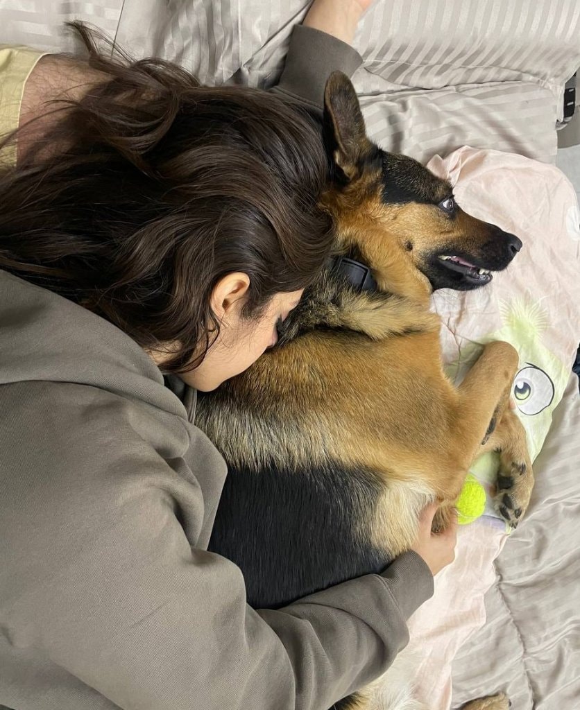 image-2