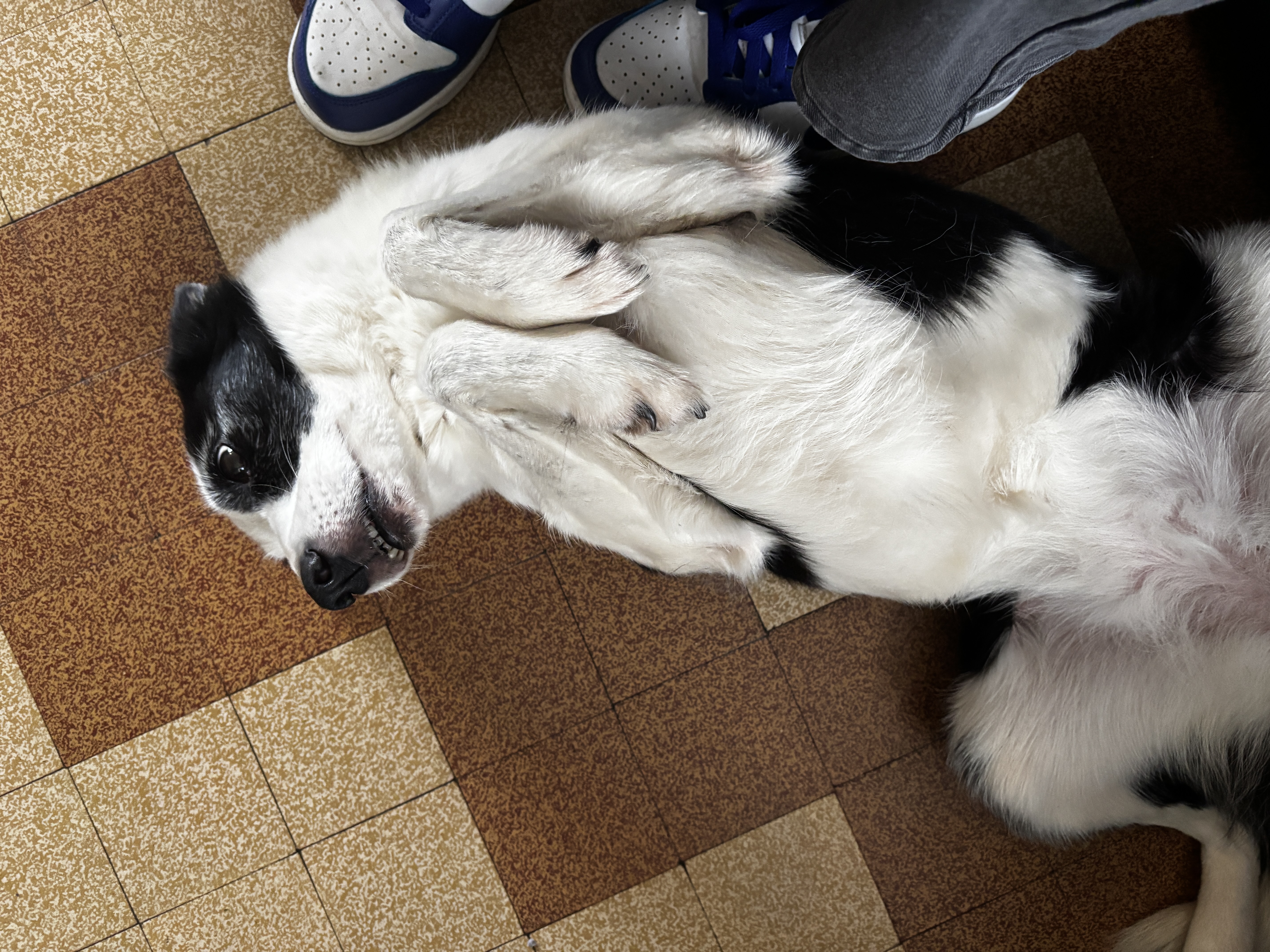 image-8