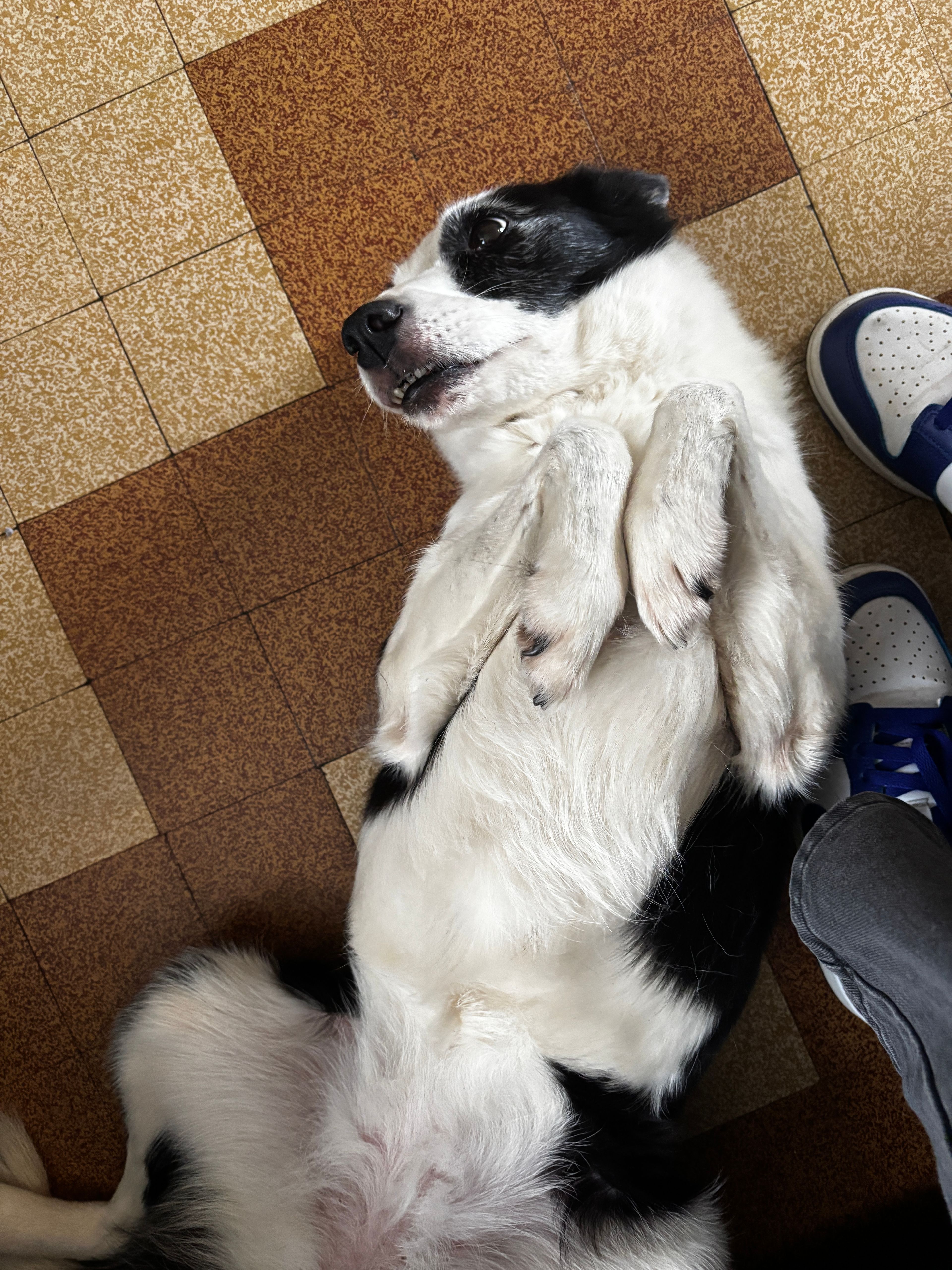 image-8