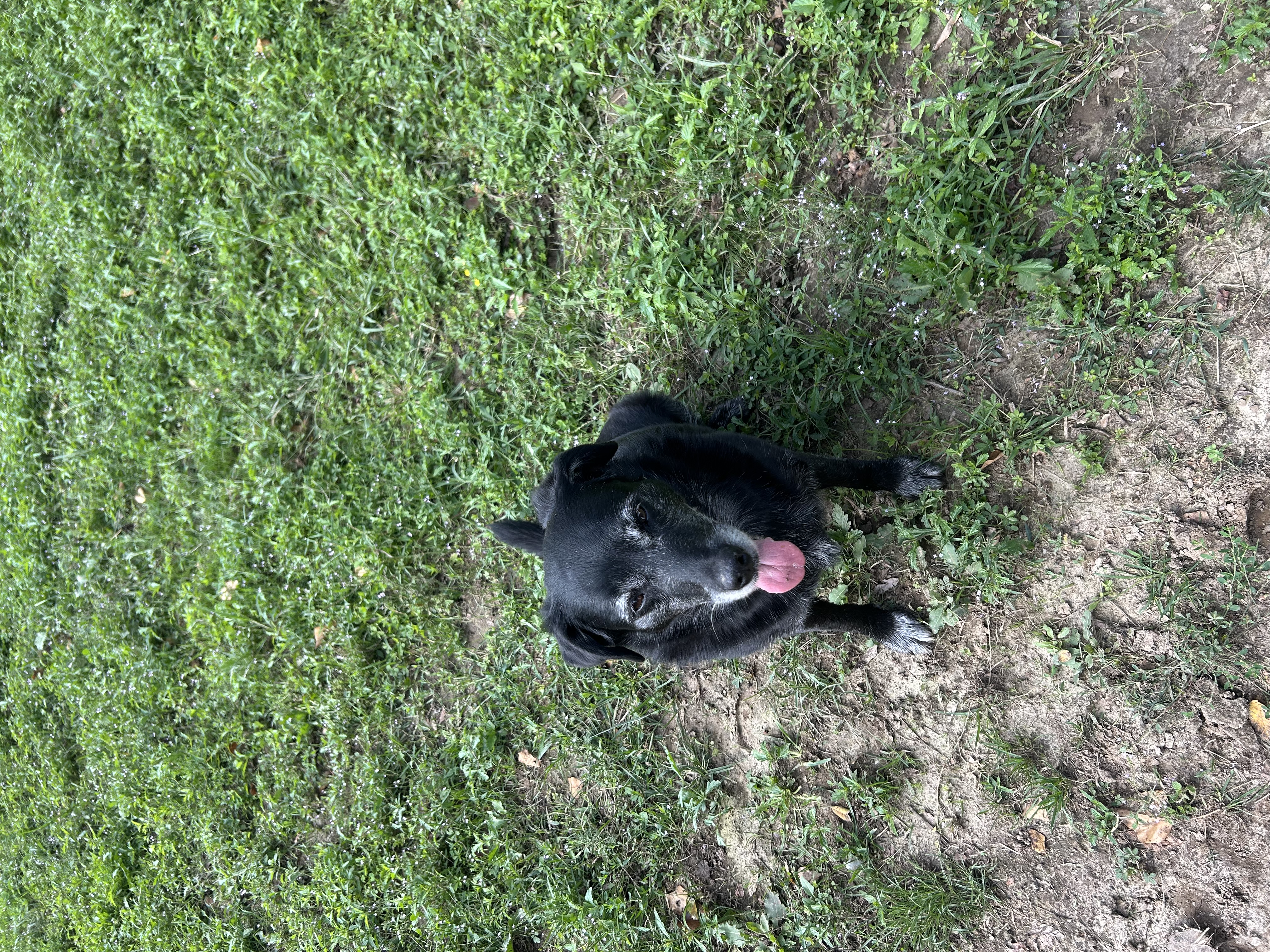 image-6