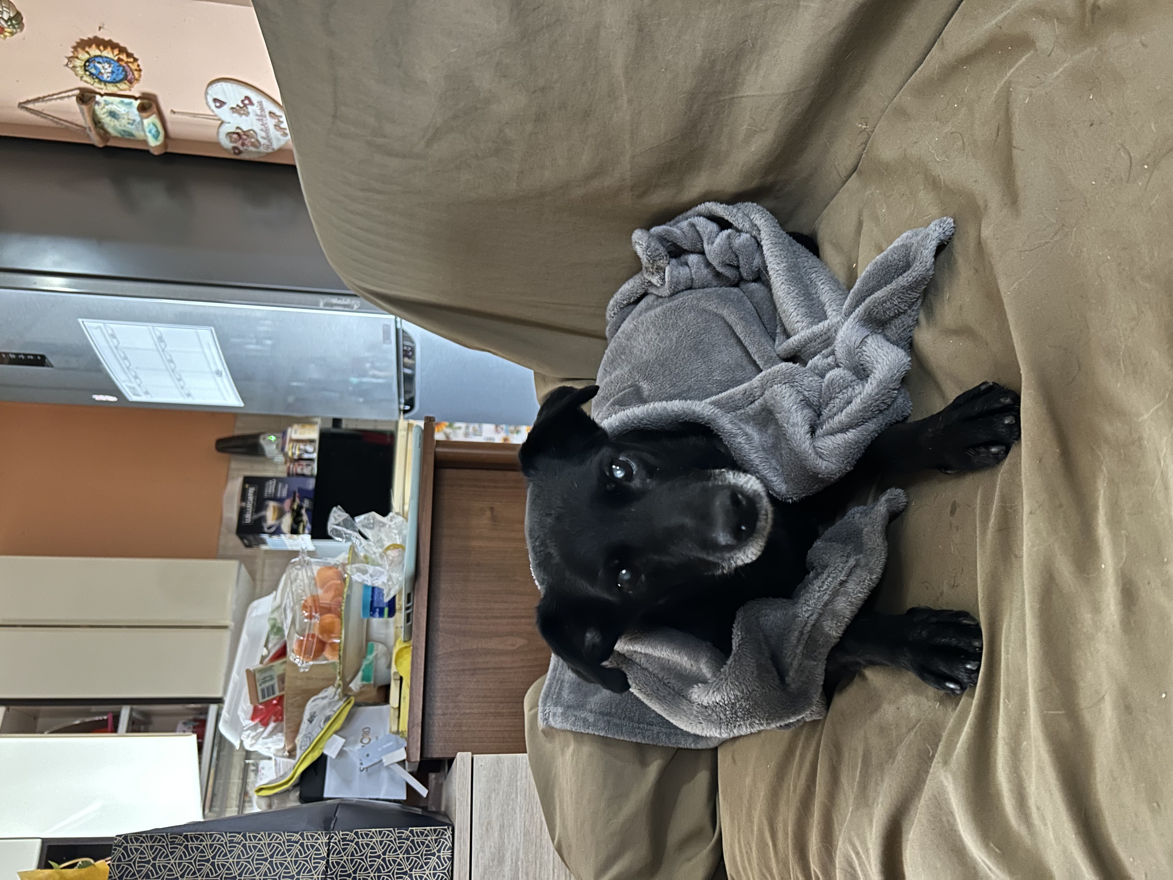 image-13