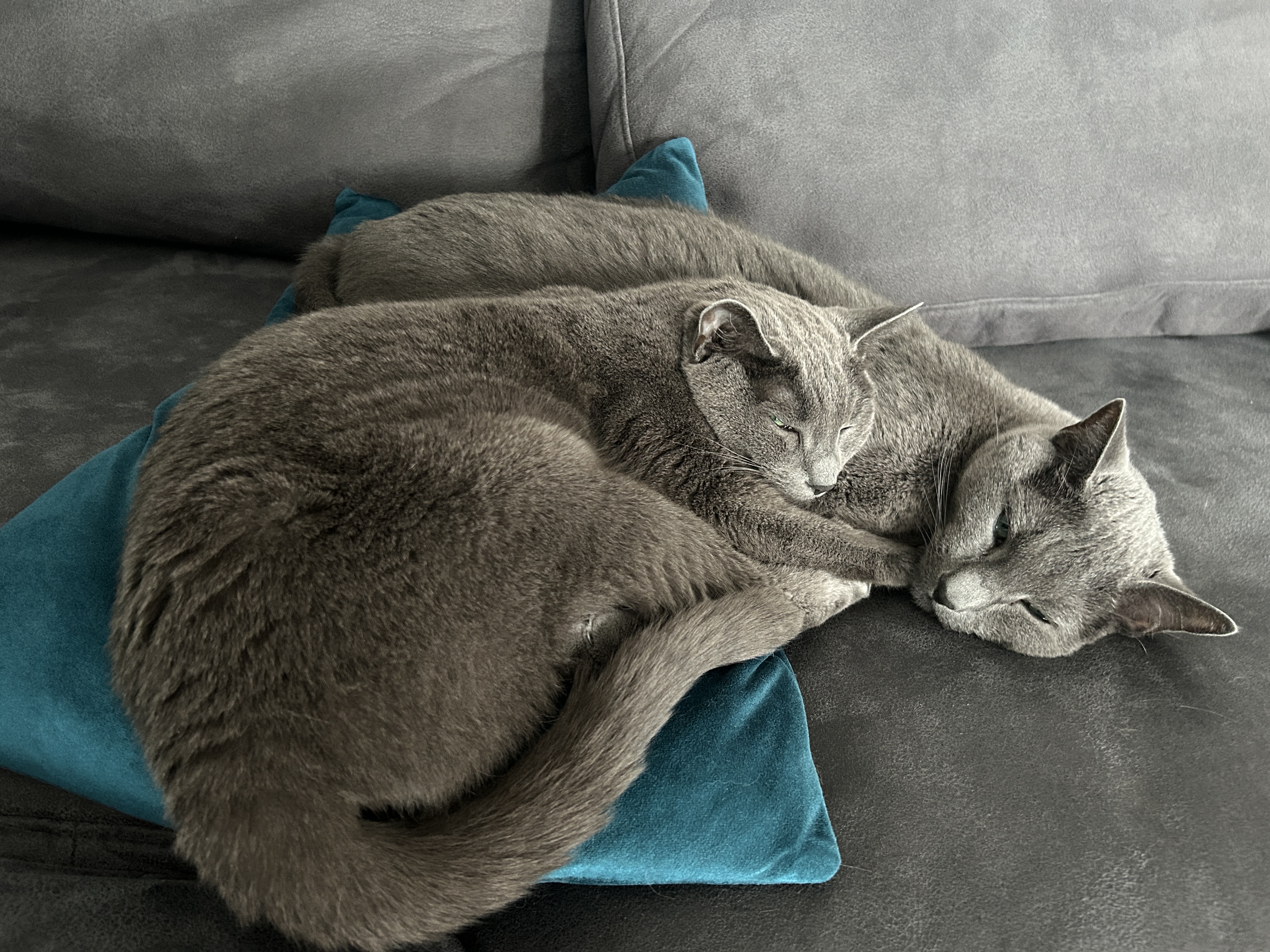 image-5