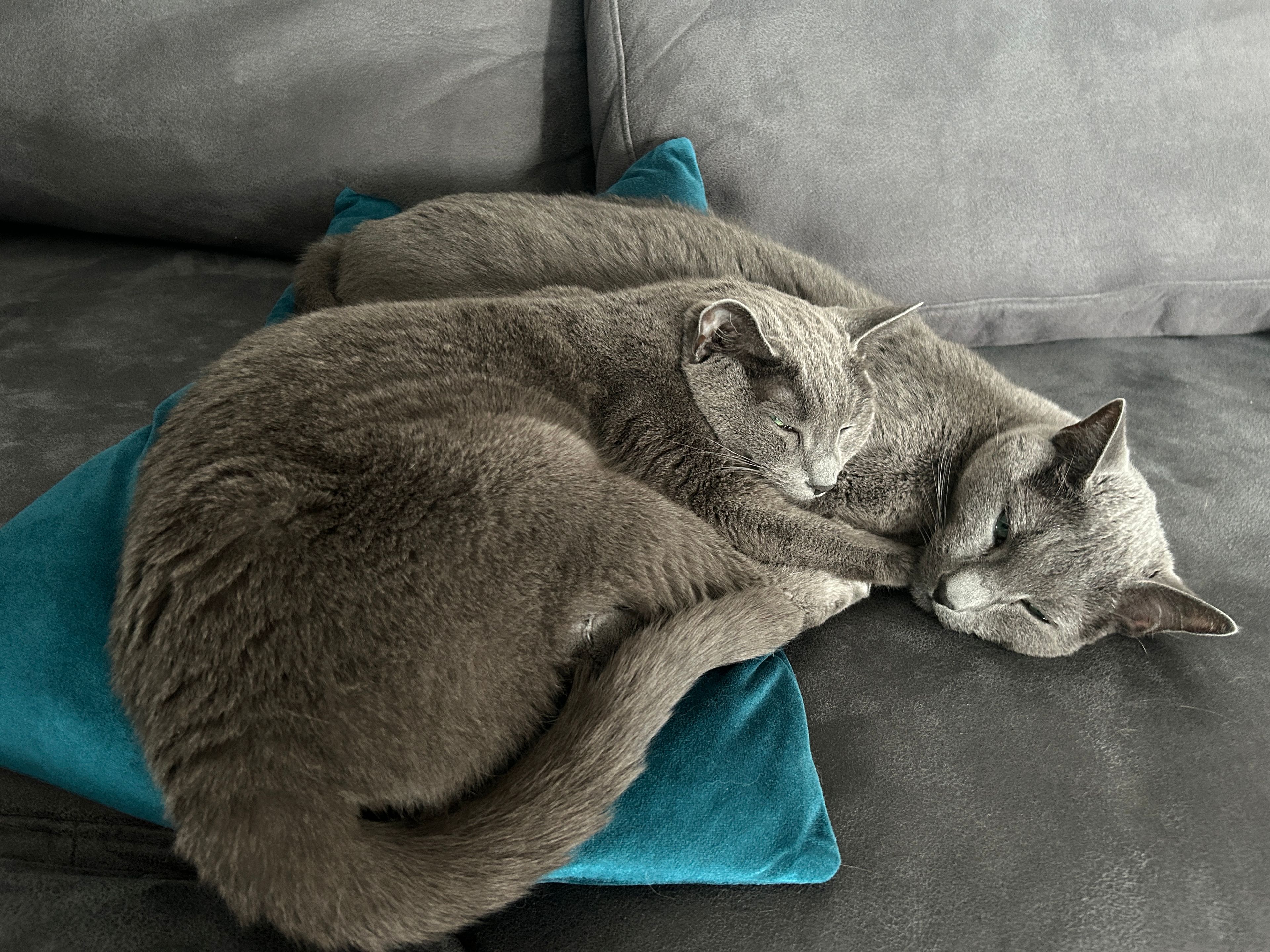 image-5
