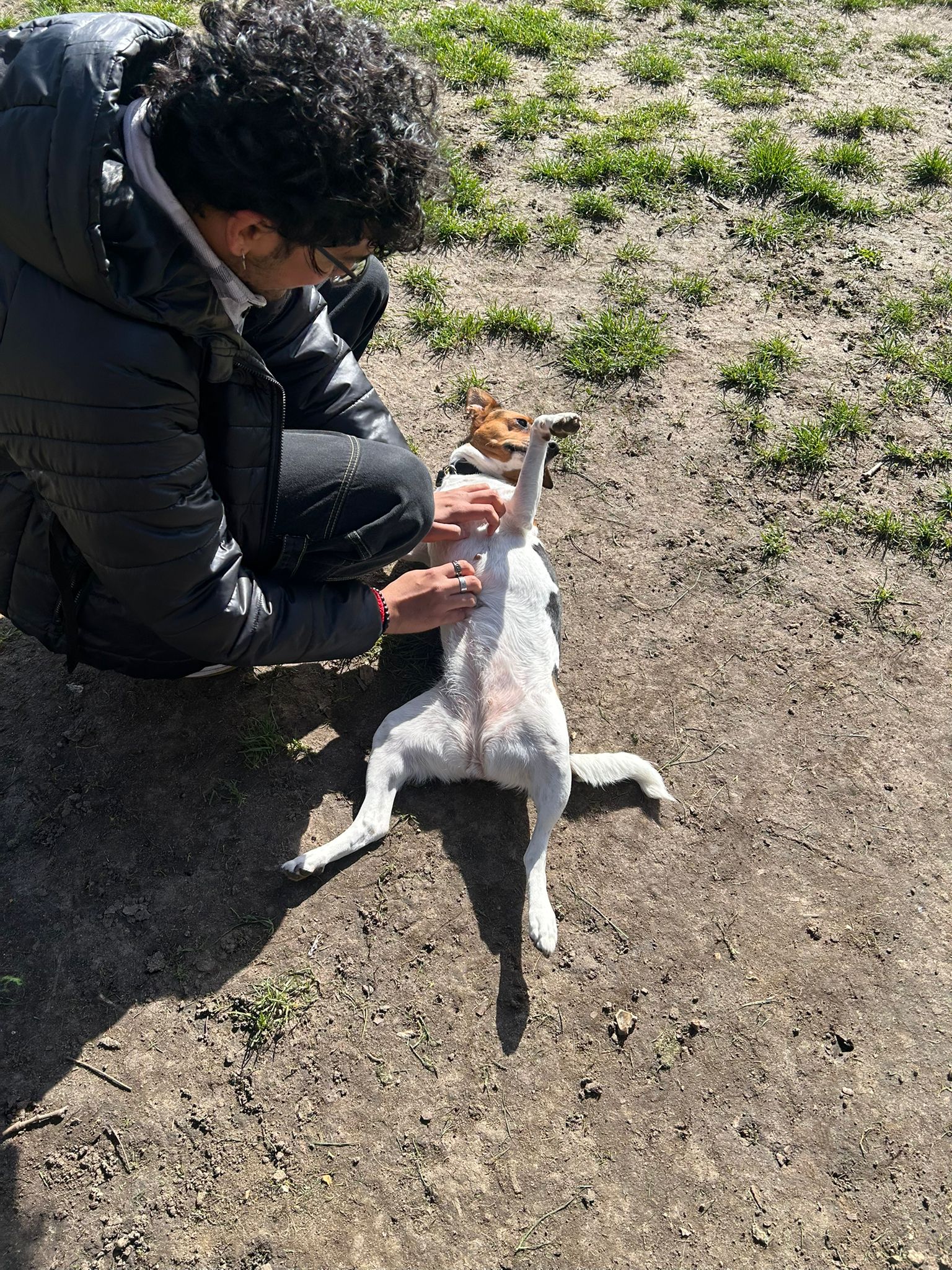 image-7