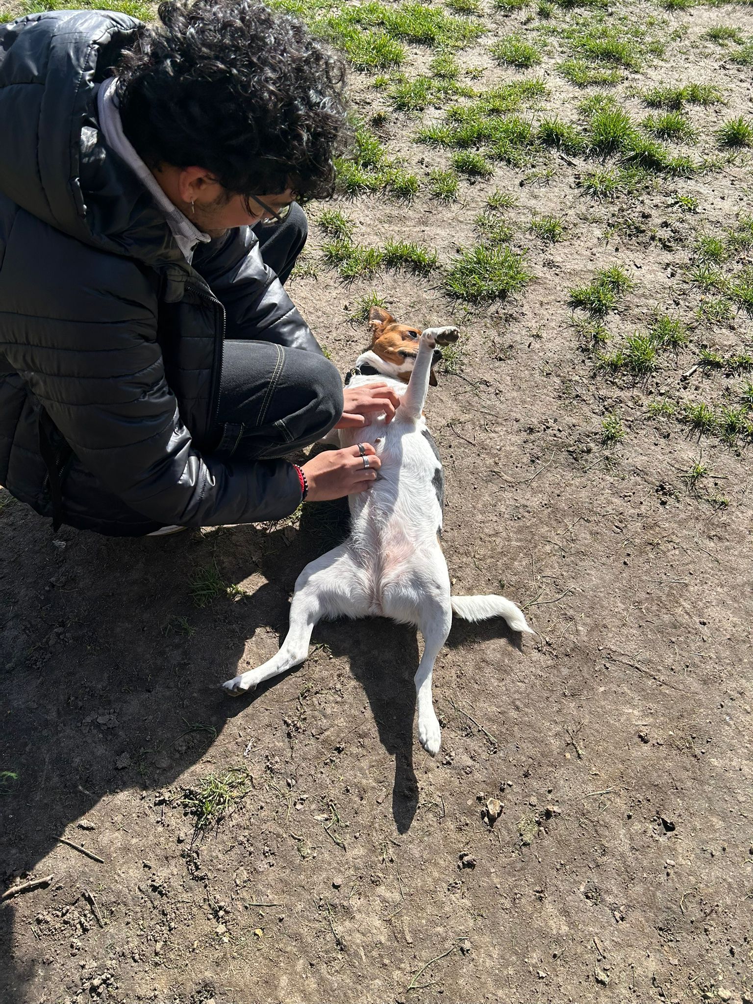 image-7