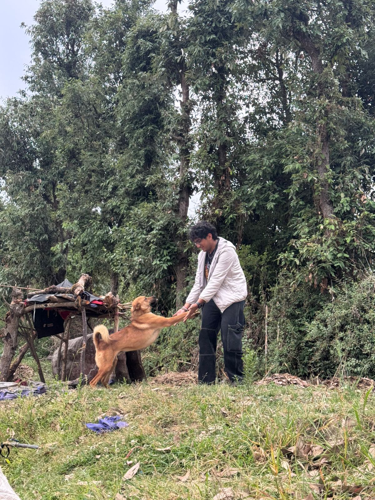 image-2