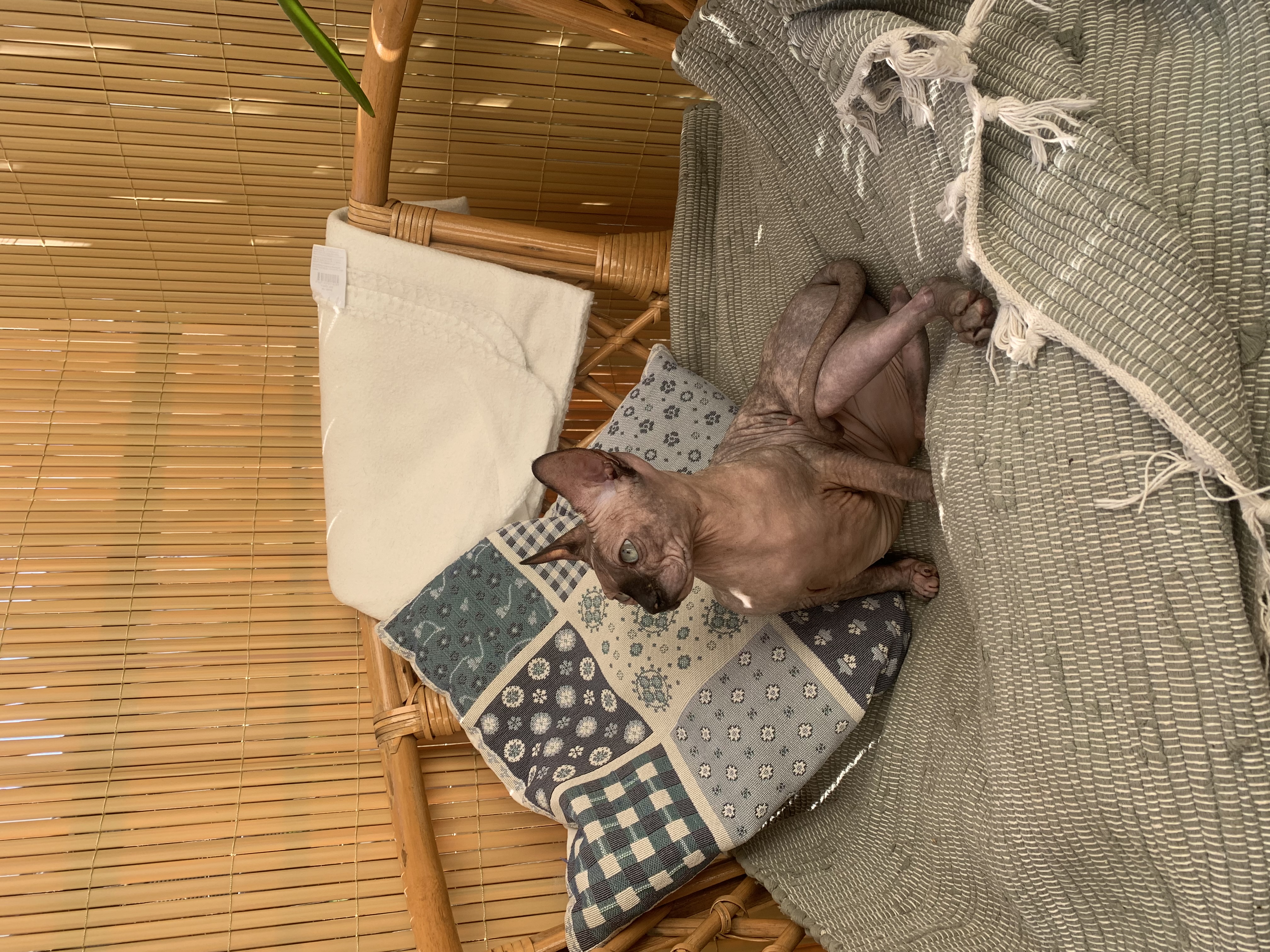 image-10