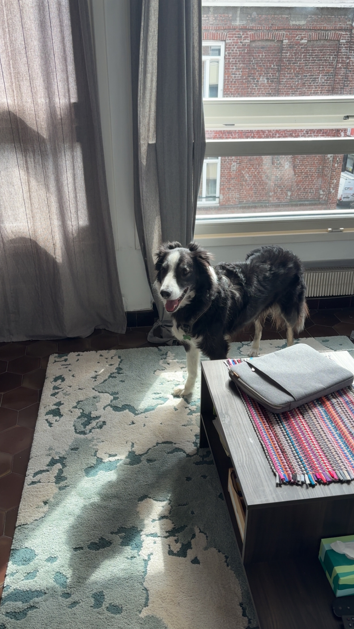 image-11