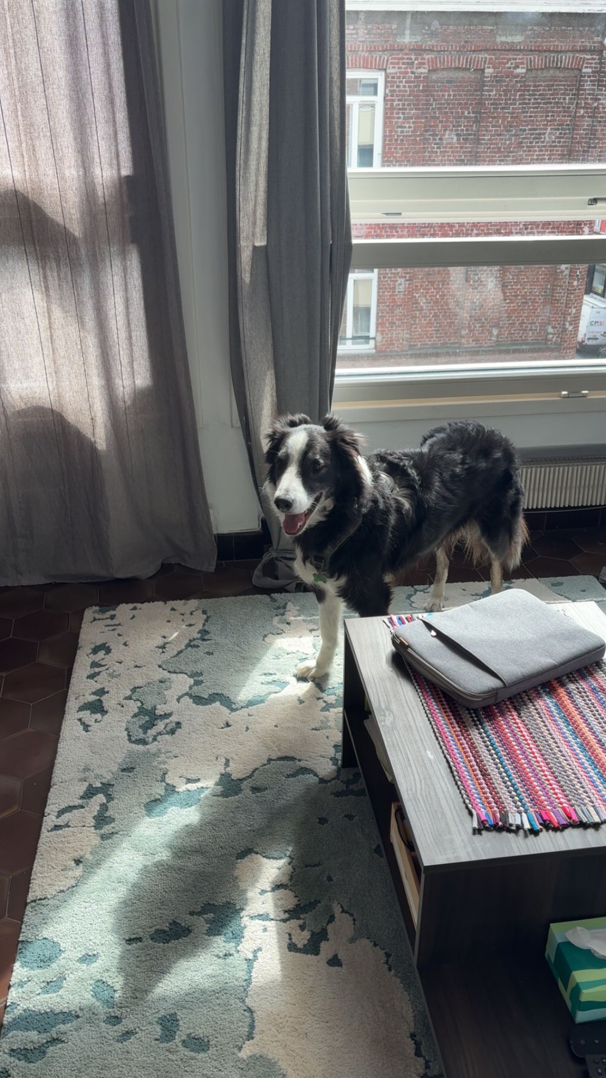 image-11