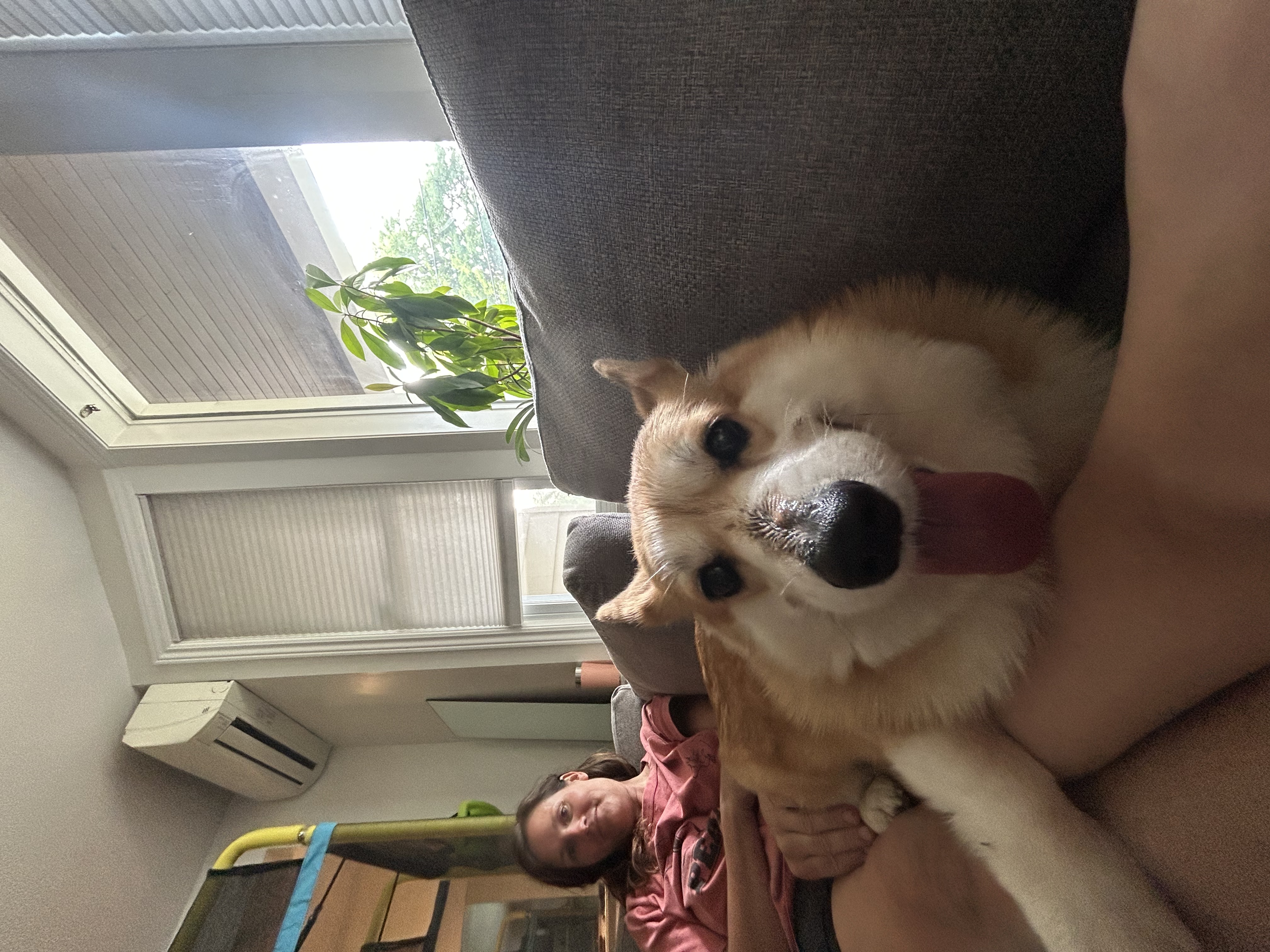 image-17