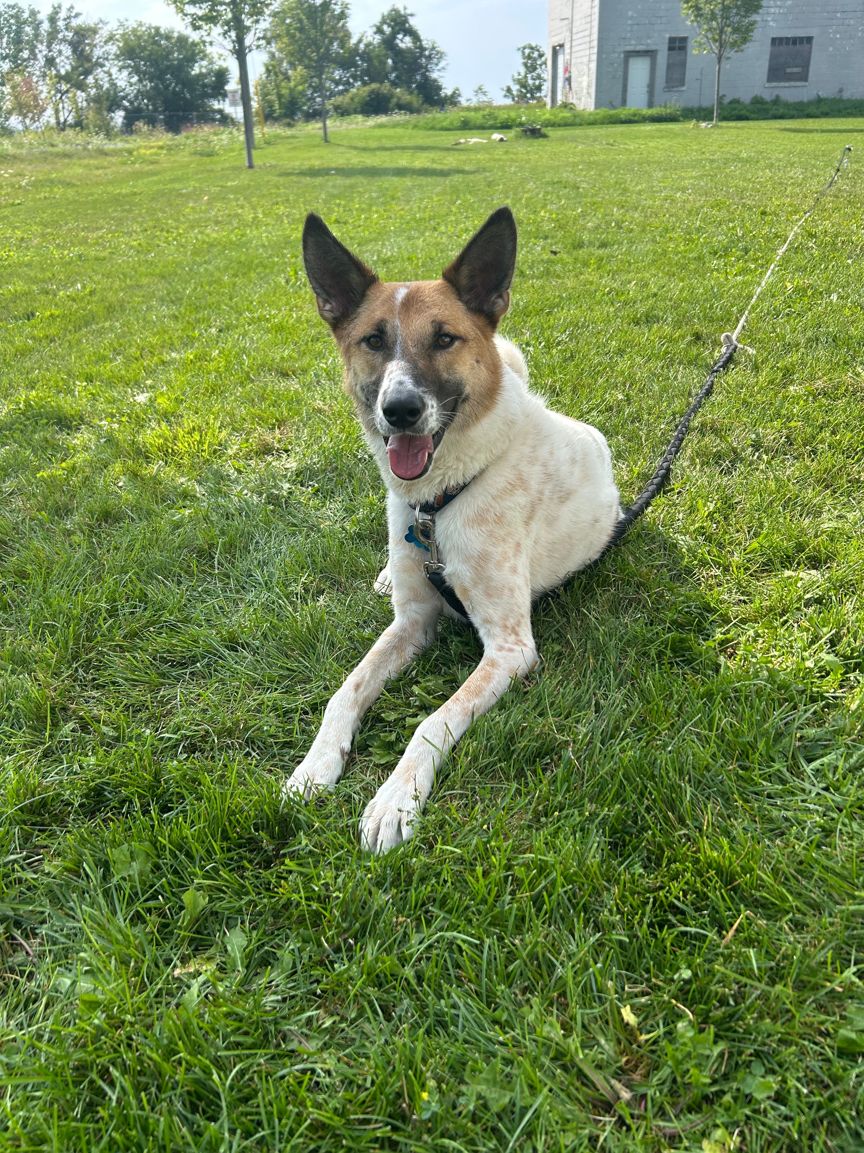 image-10