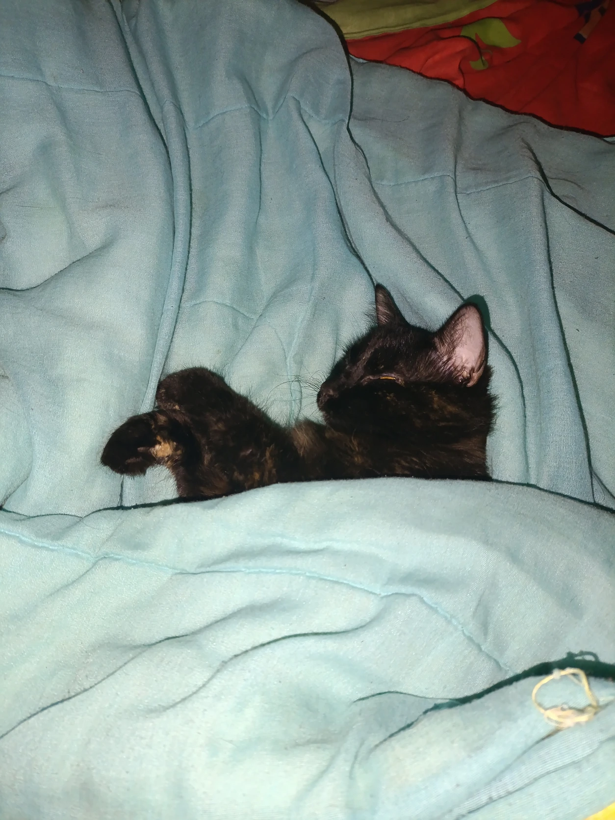 image-5