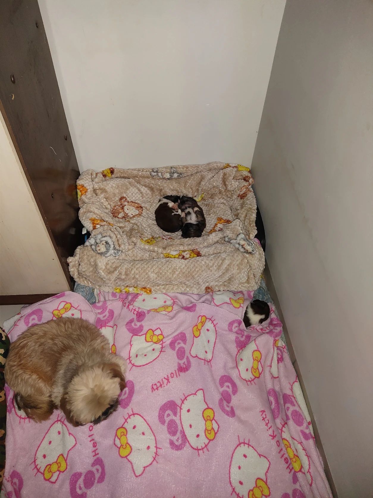 image-14