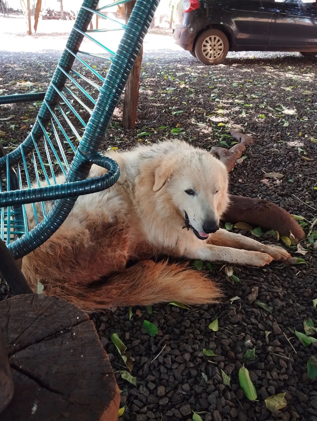 image-7
