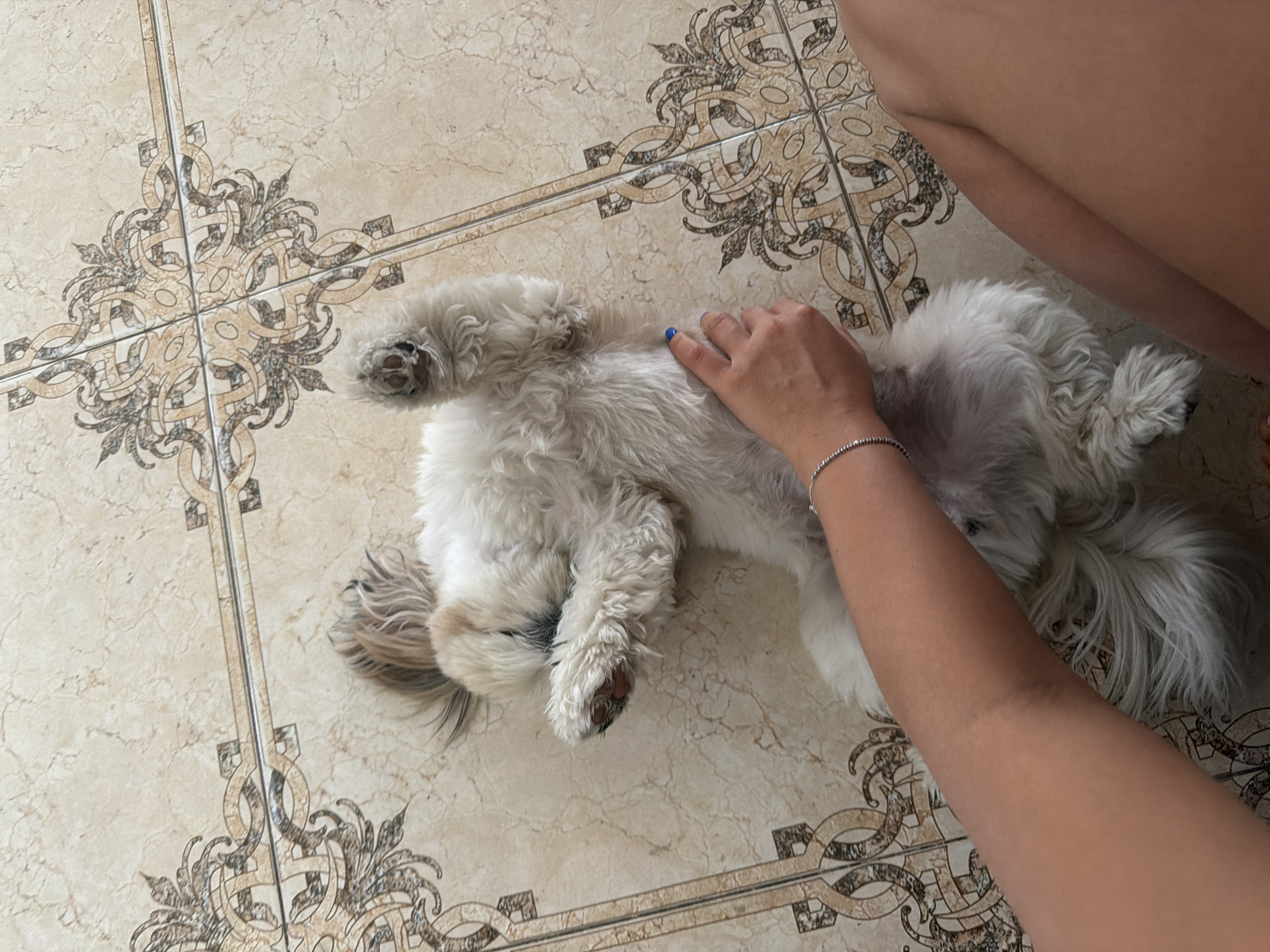 image-7