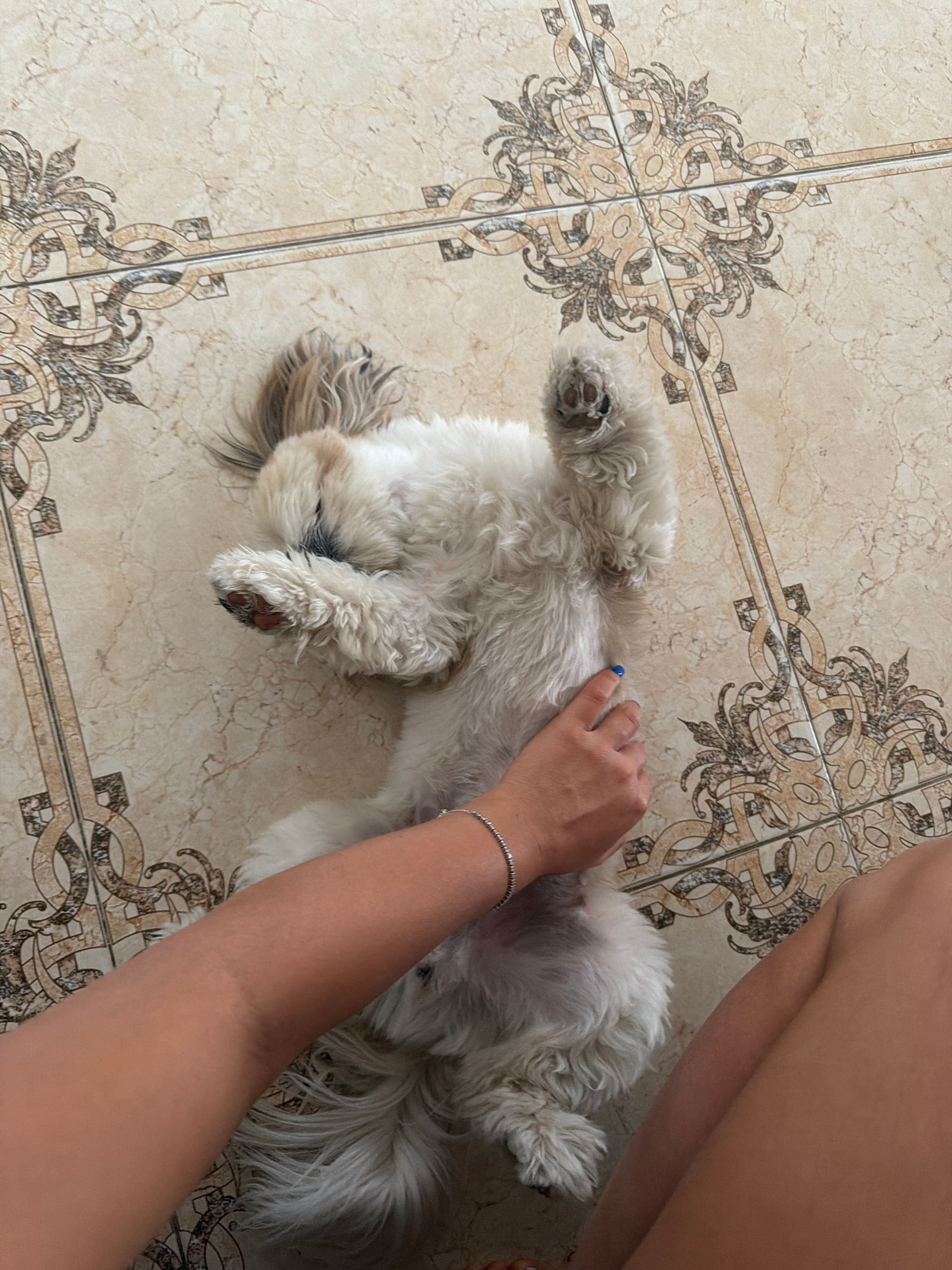 image-7