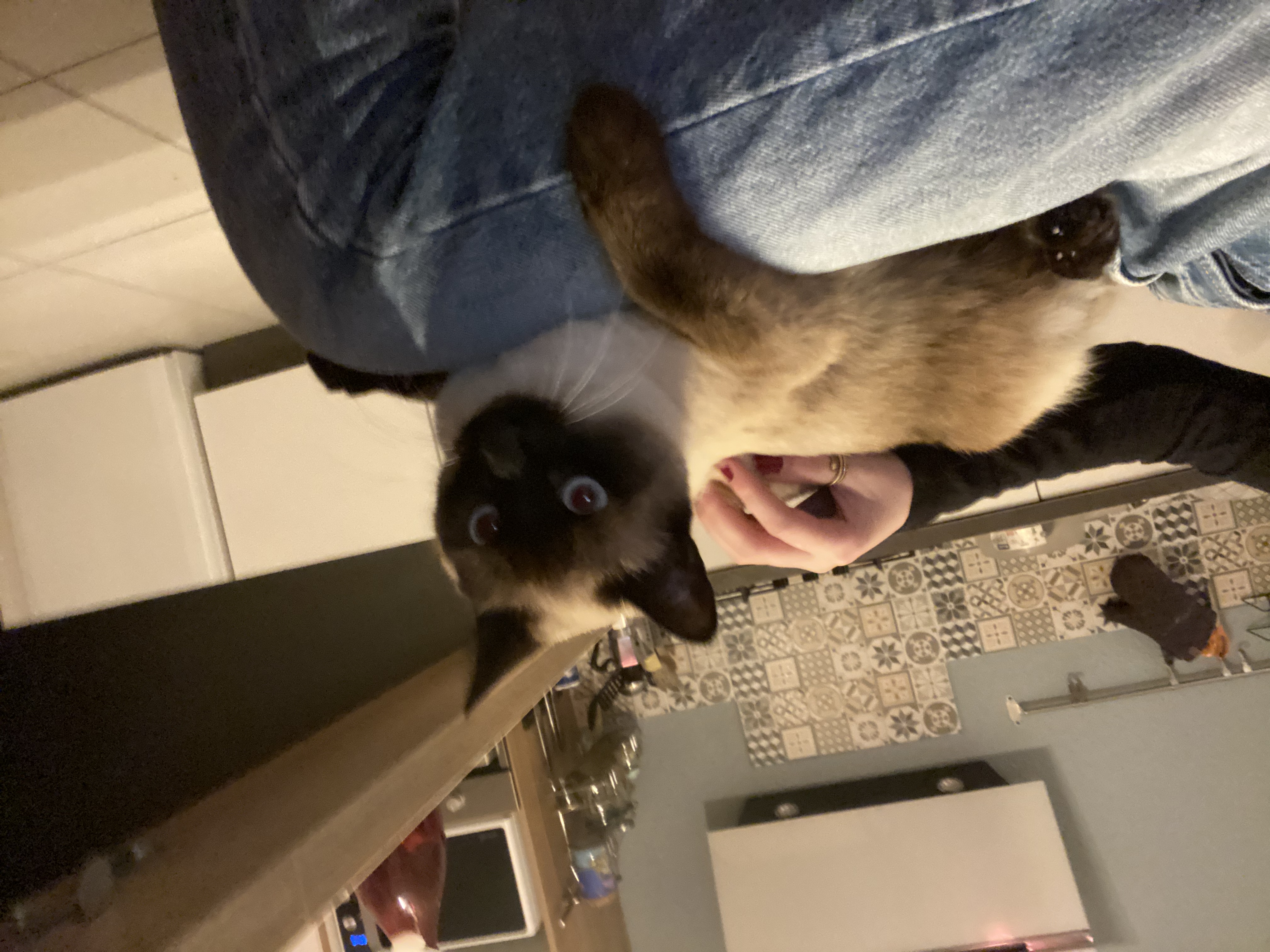 image-7