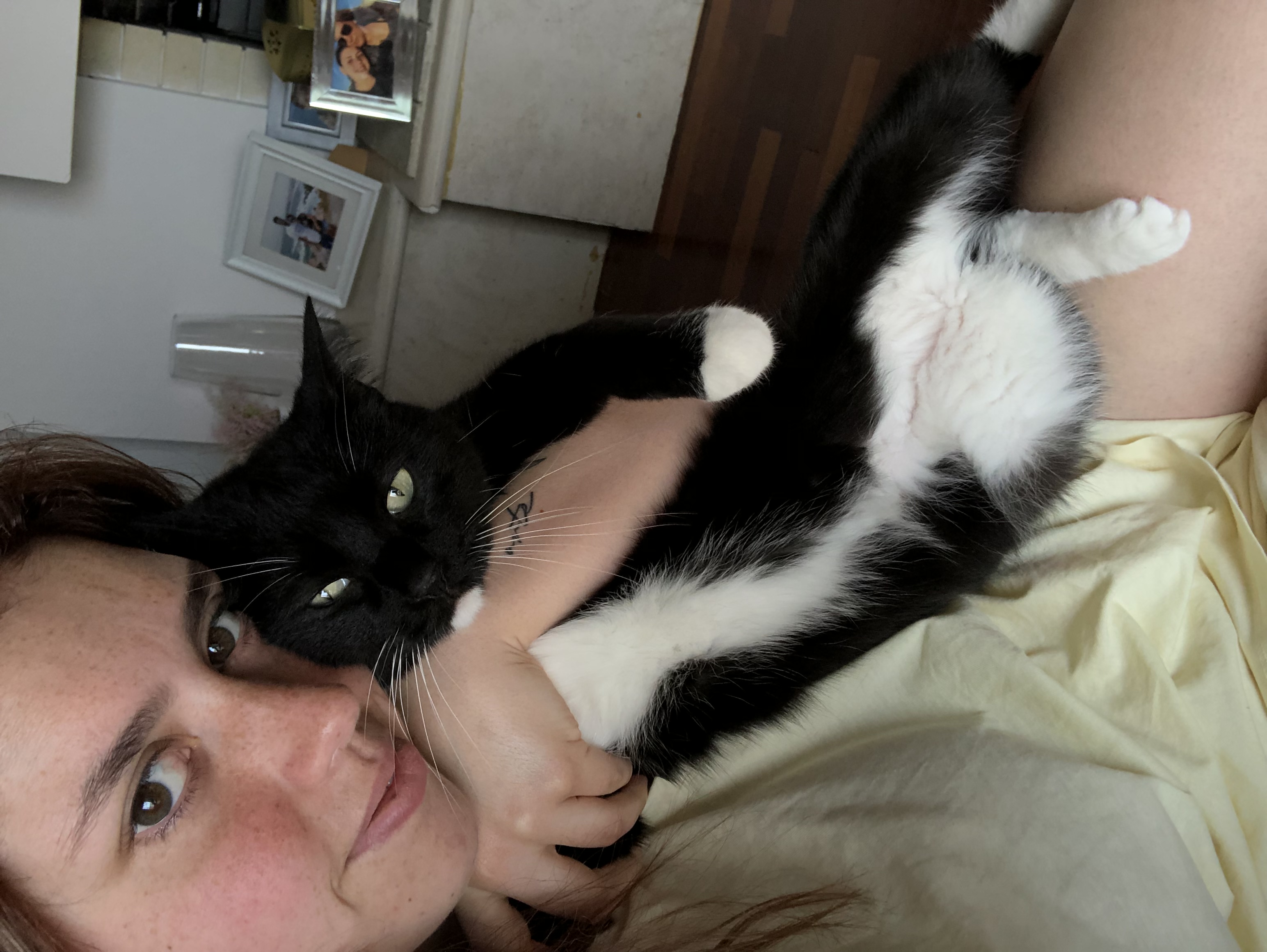image-6
