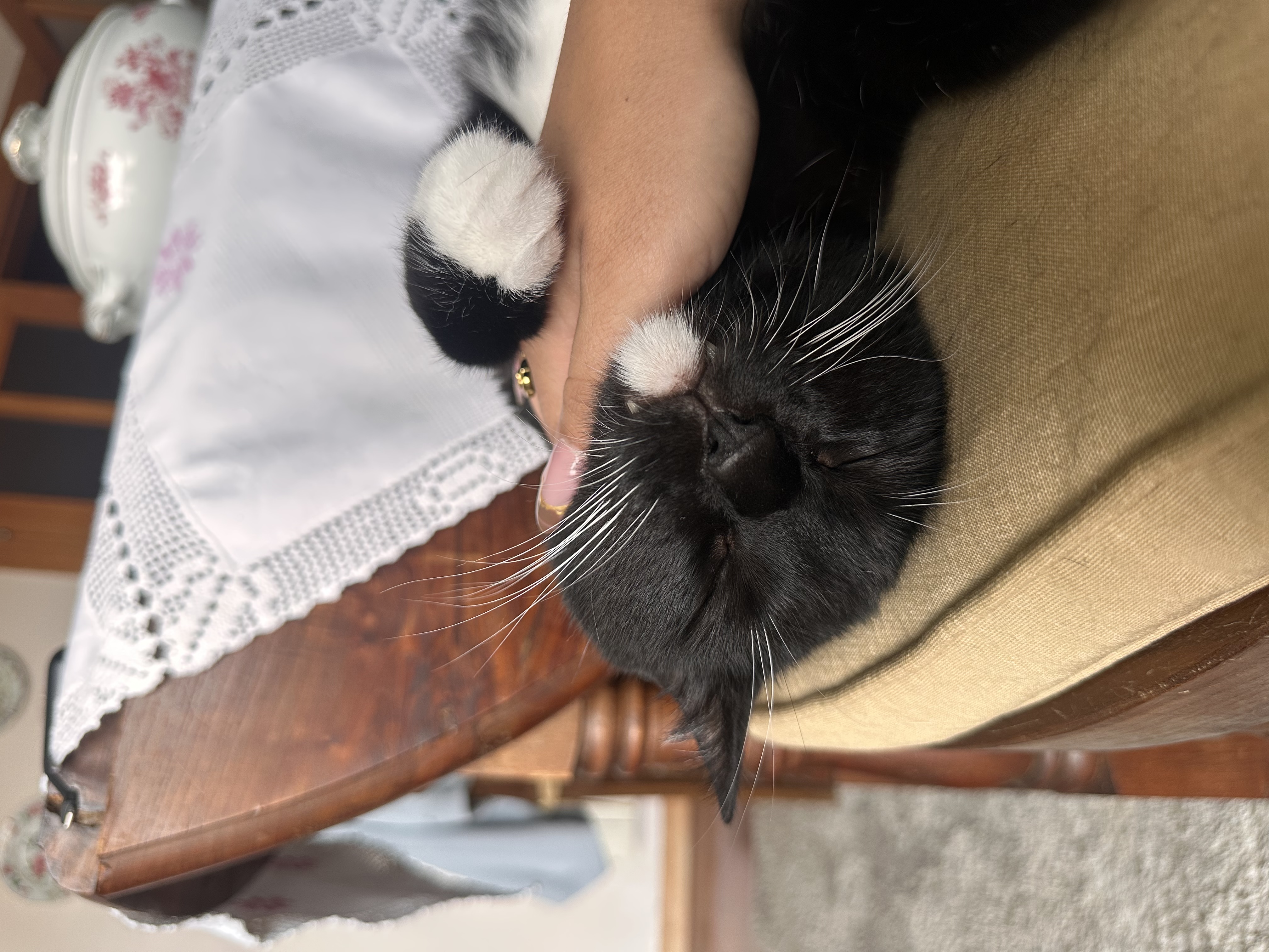 image-9