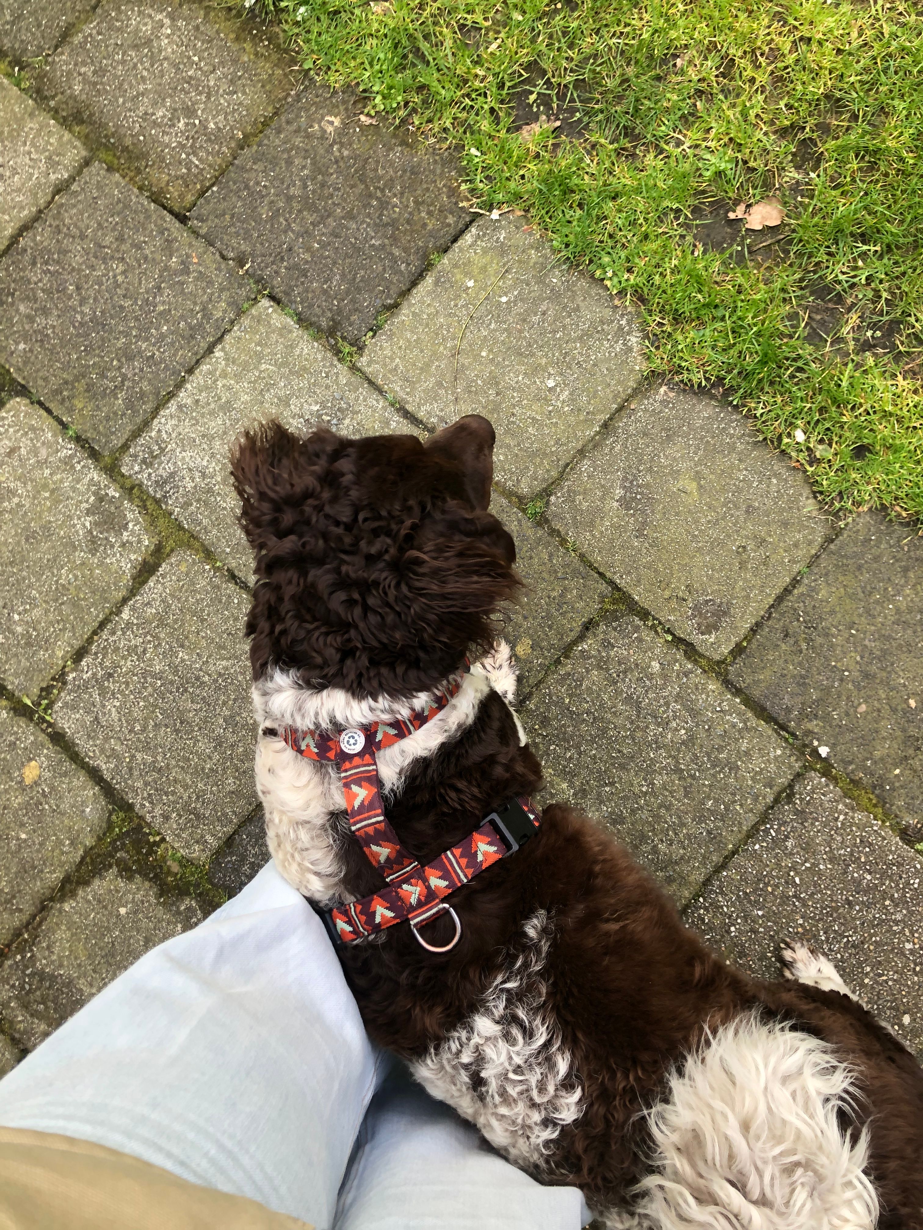 image-8