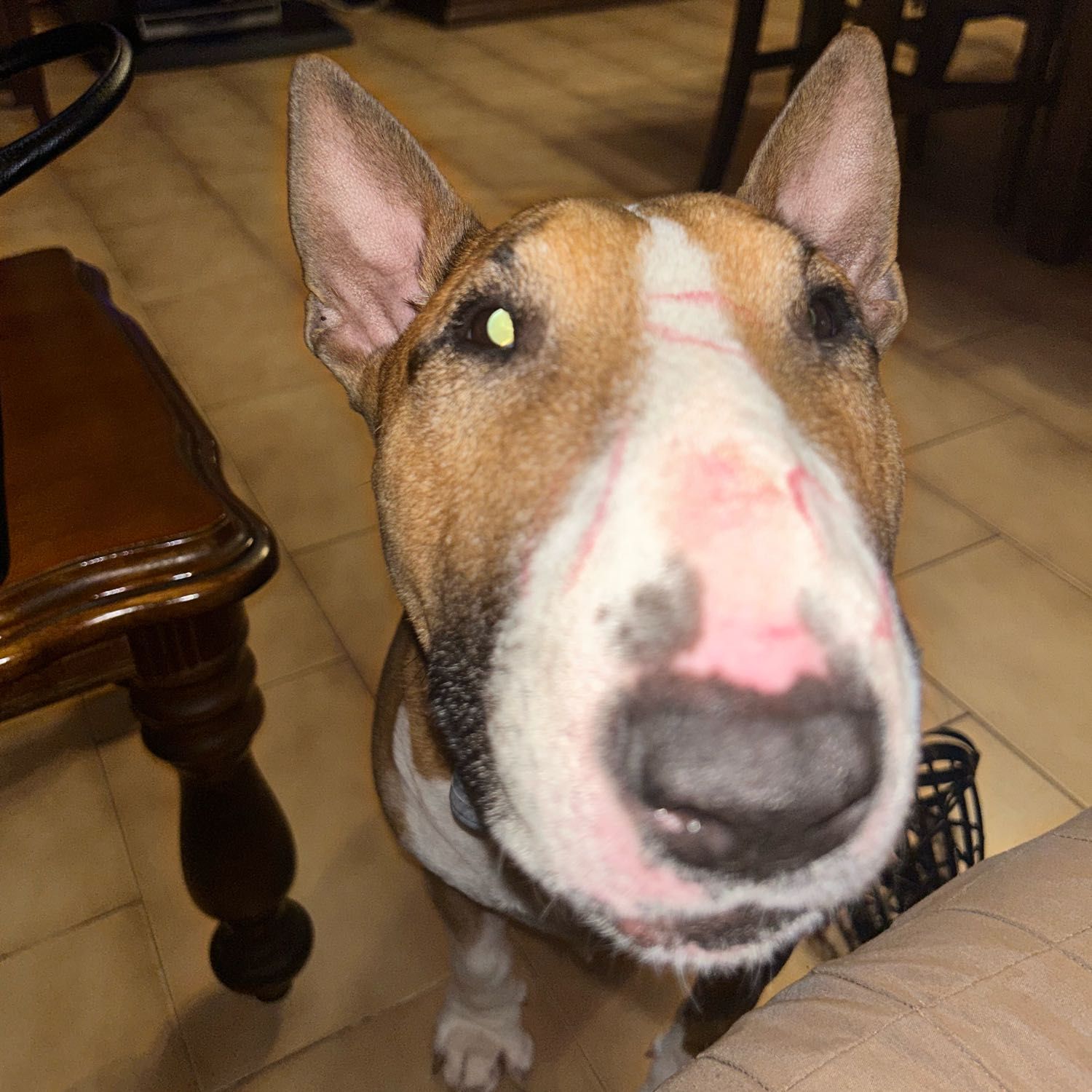 Zeus