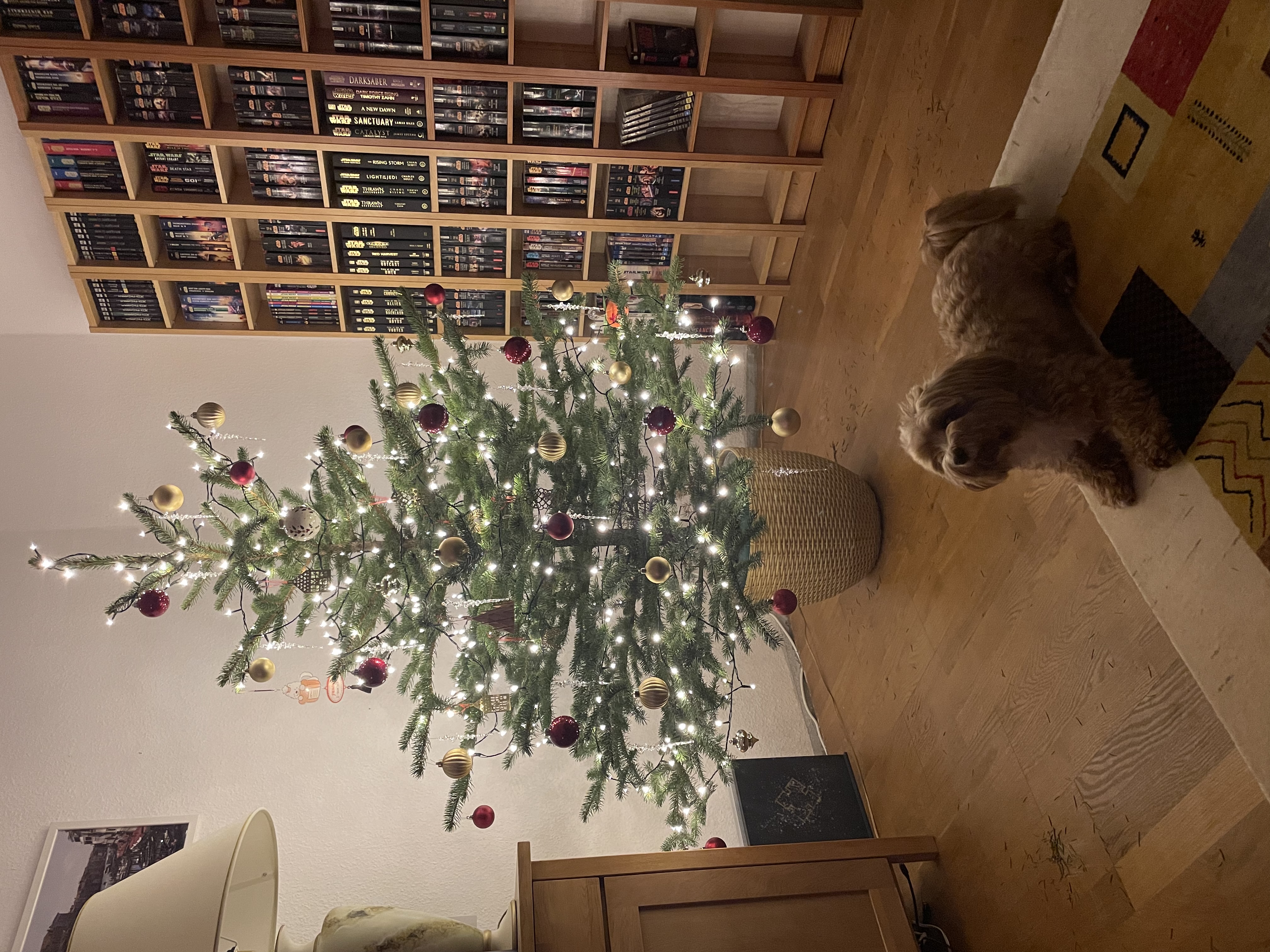 image-7
