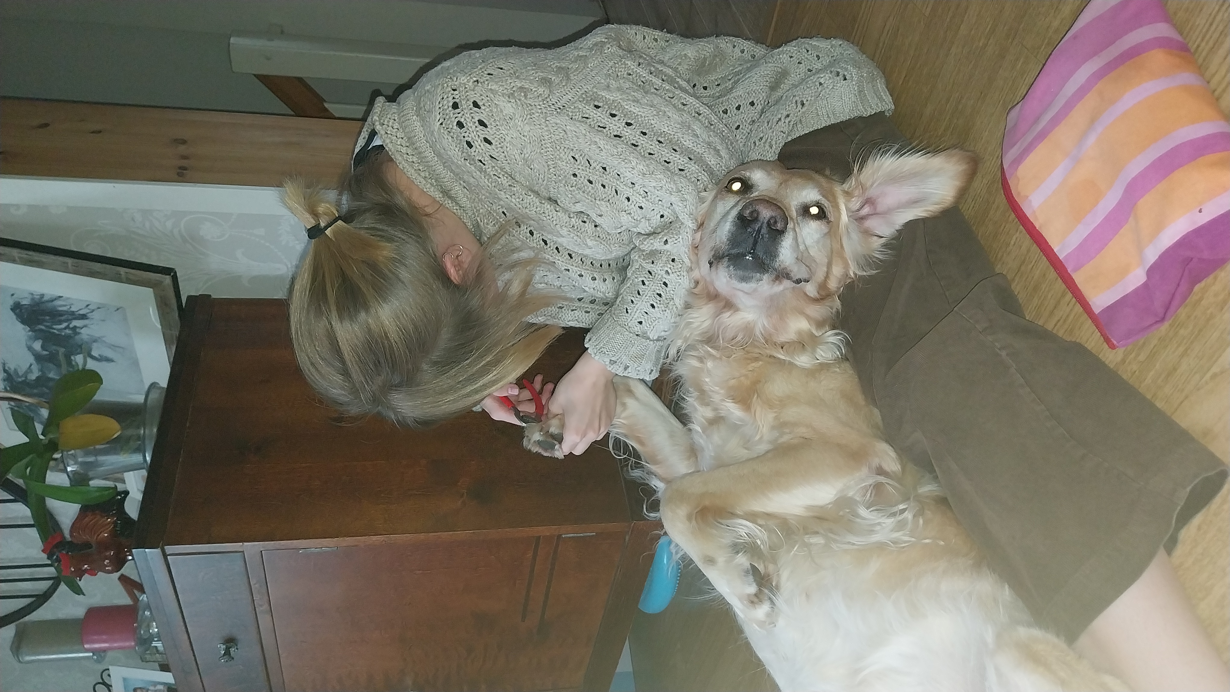 image-8