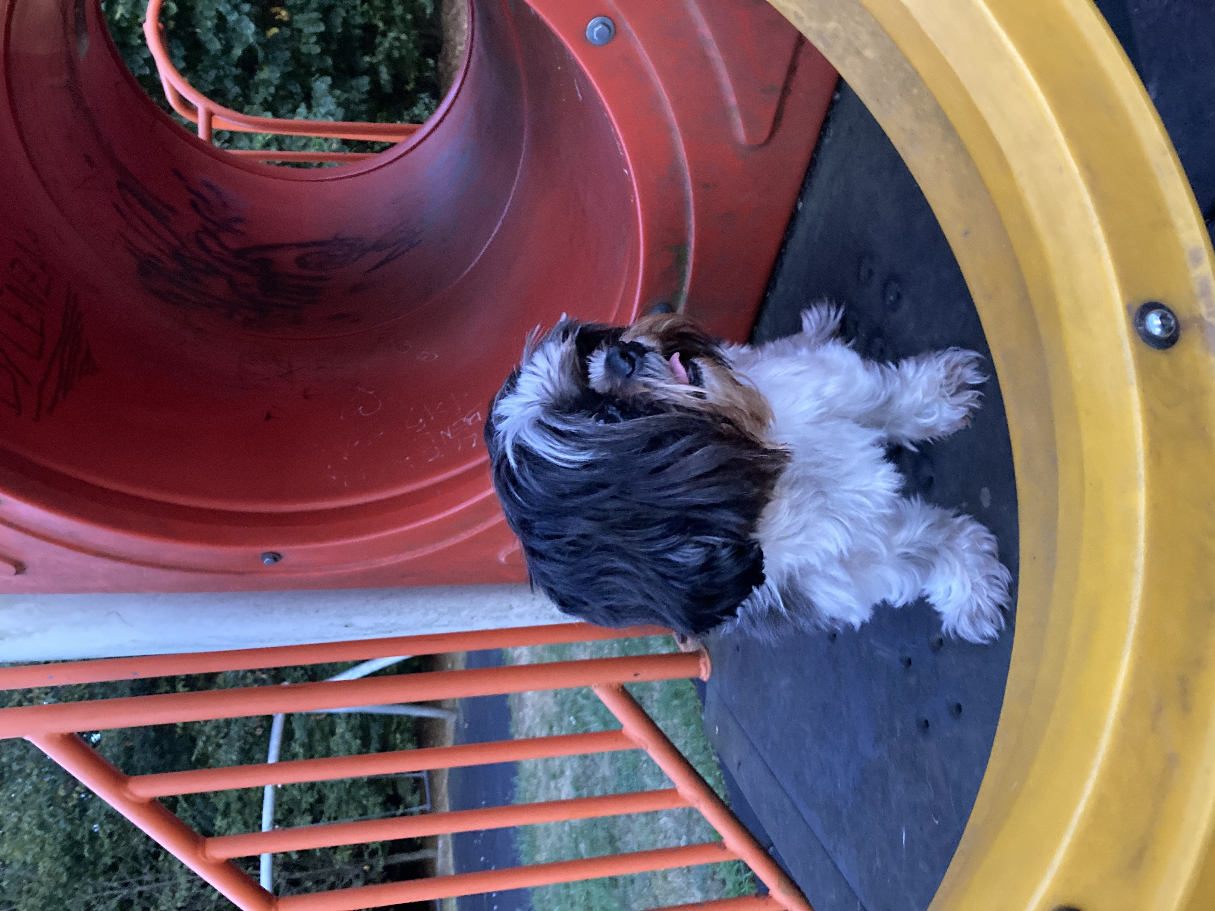 image-8