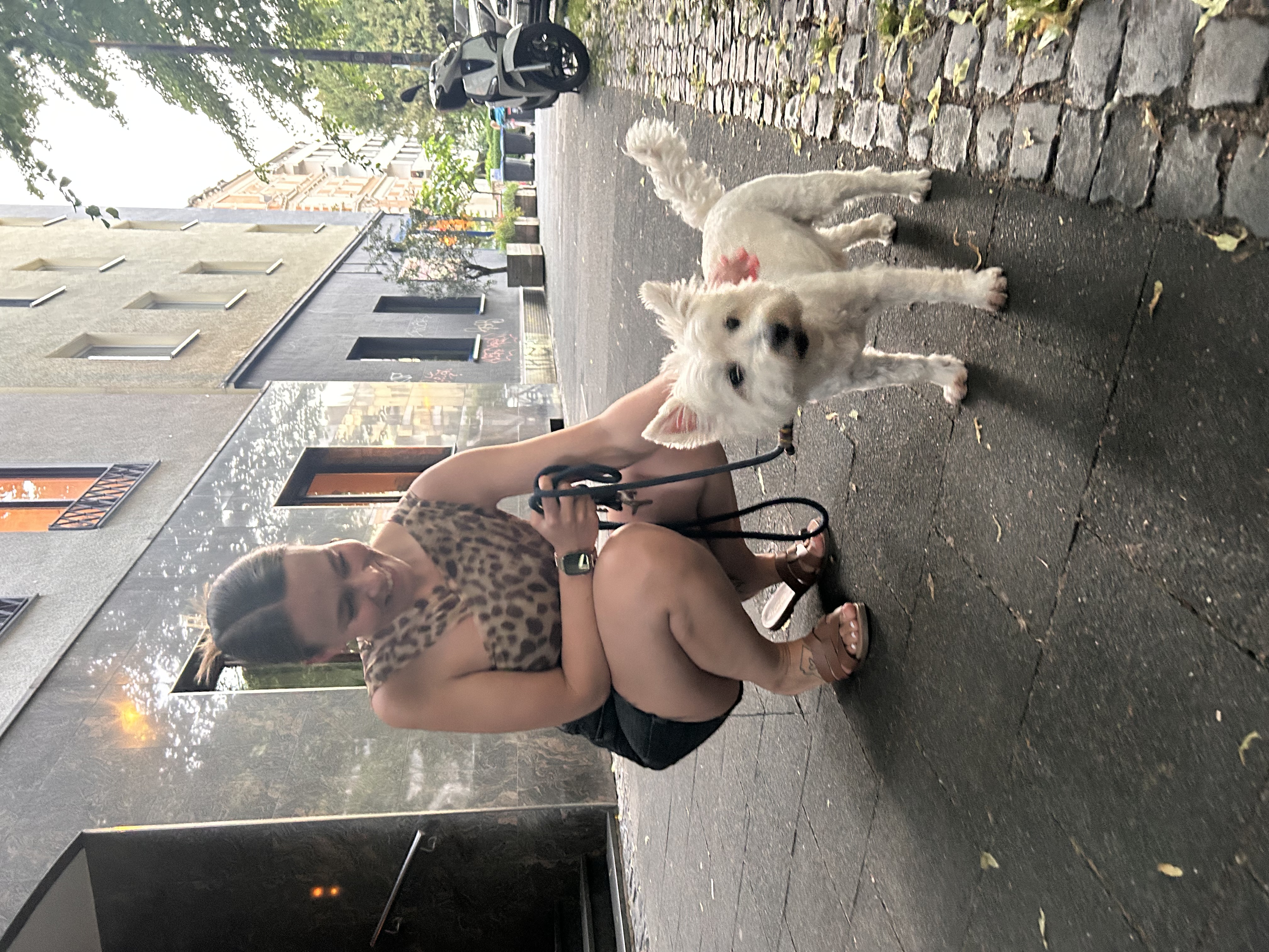 image-8