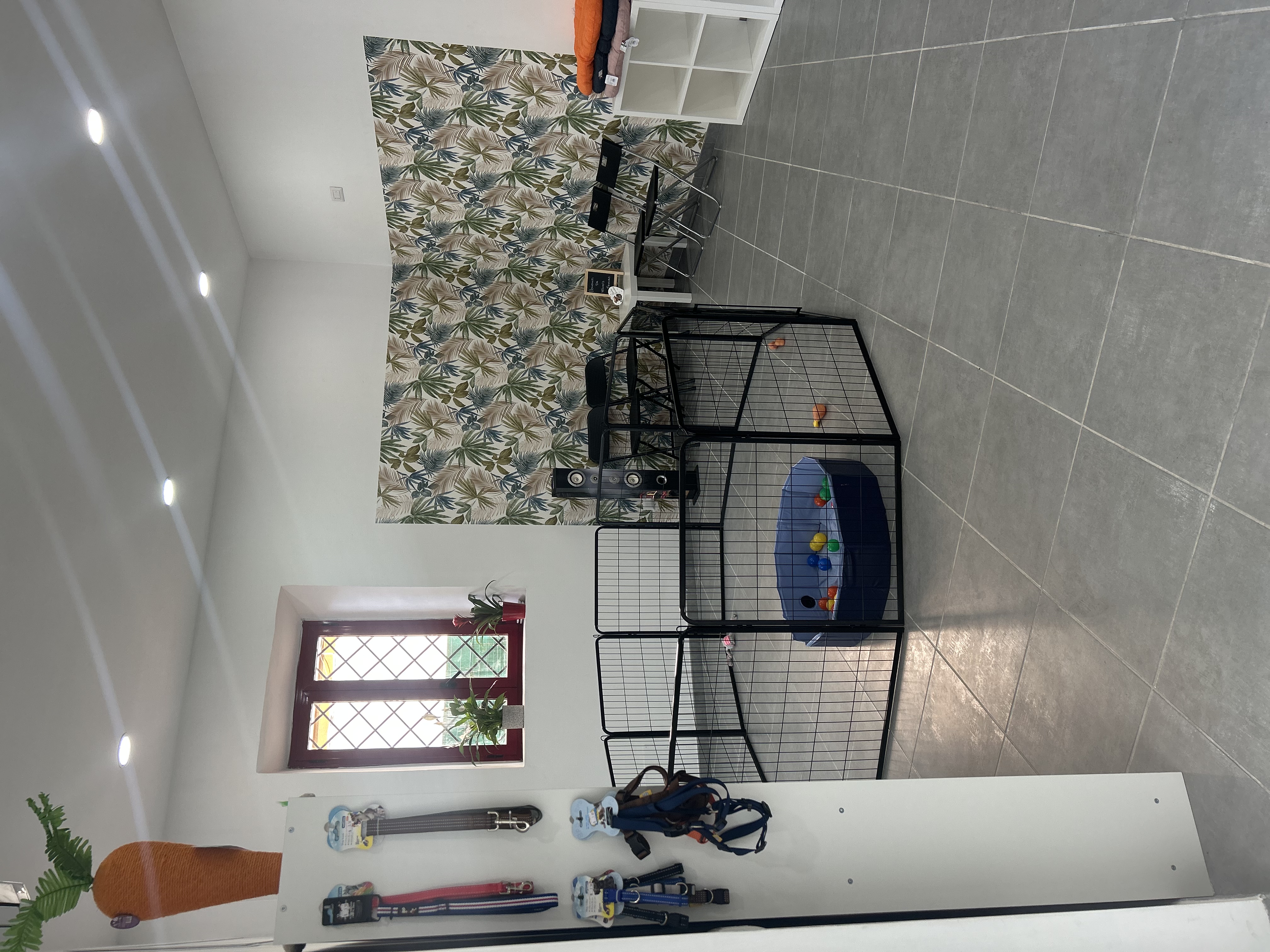 image-28