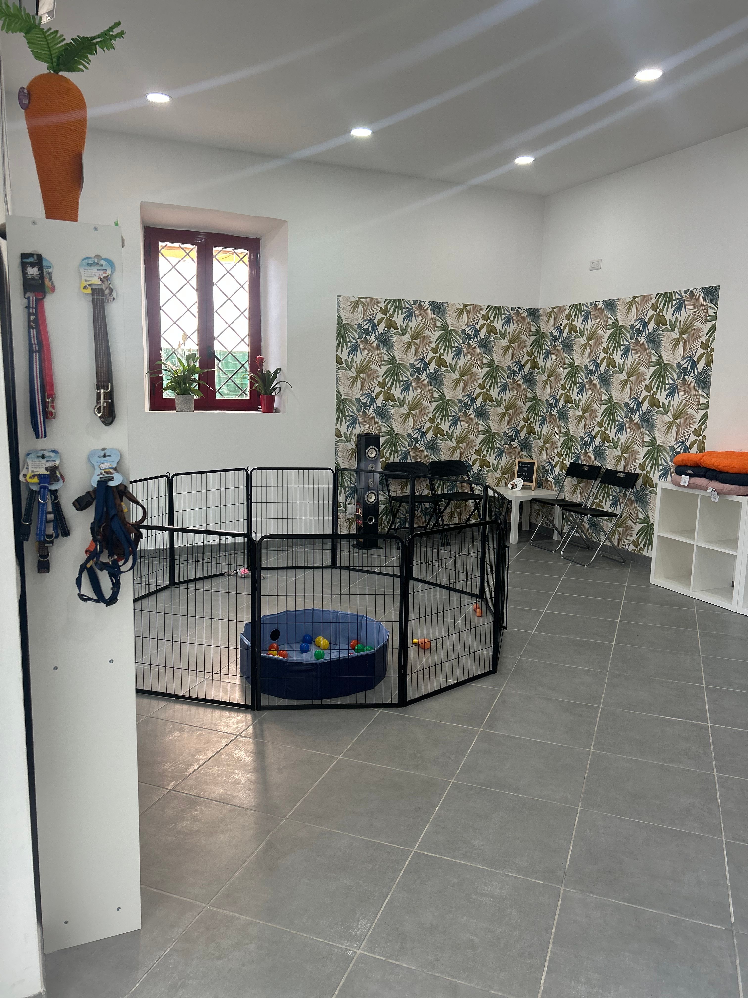 image-28