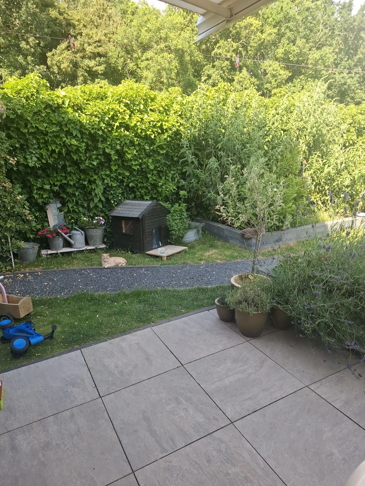 image-10