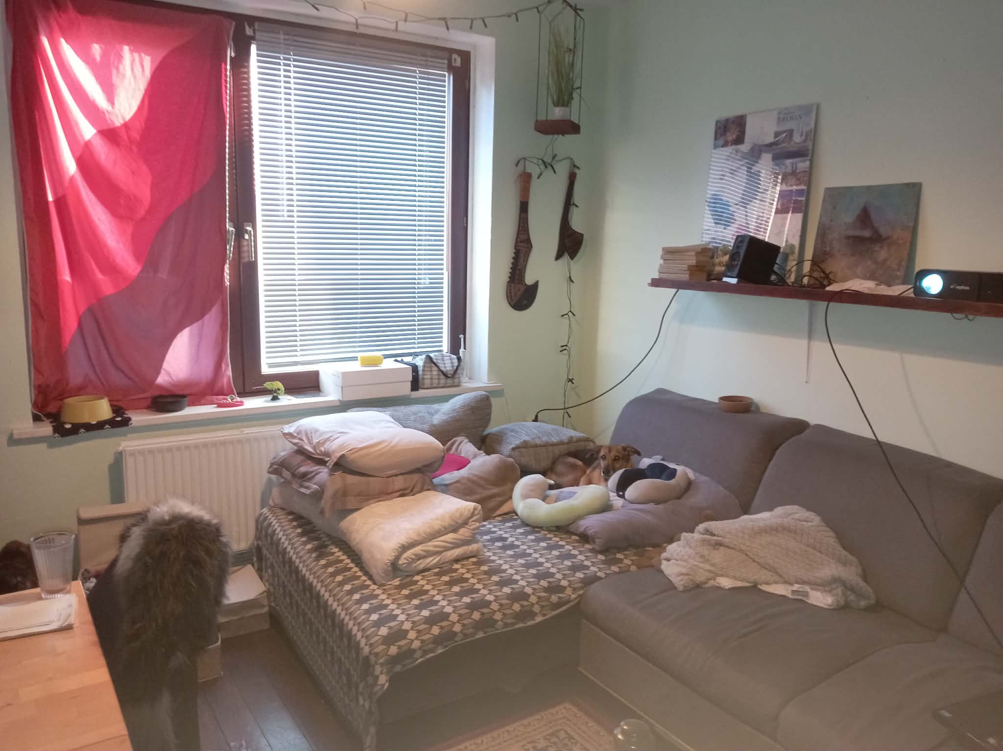 image-12